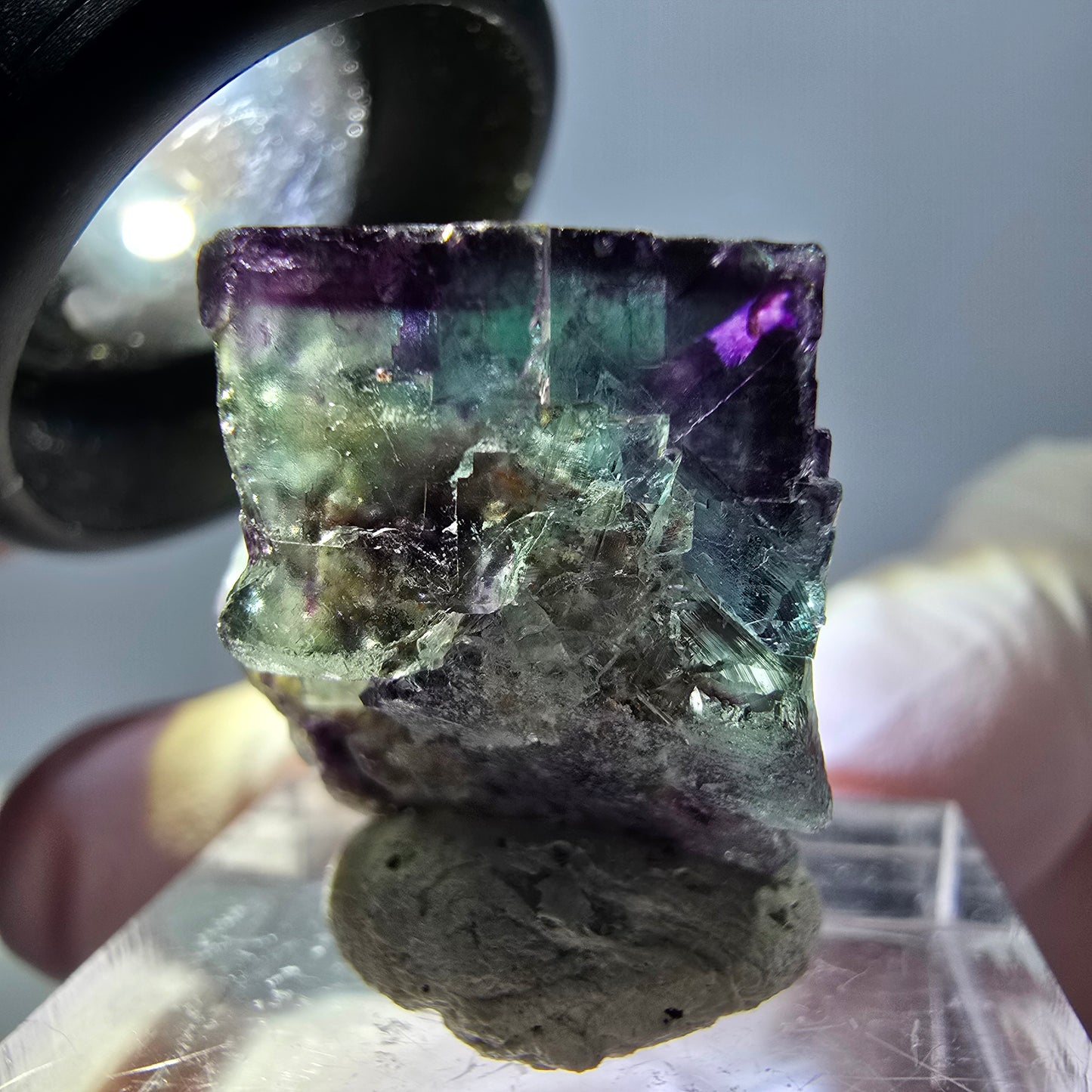 Spécimen de cube de fluorite fantôme, parqueté vert violet Okorusu, Namibie 25*19*15 mm