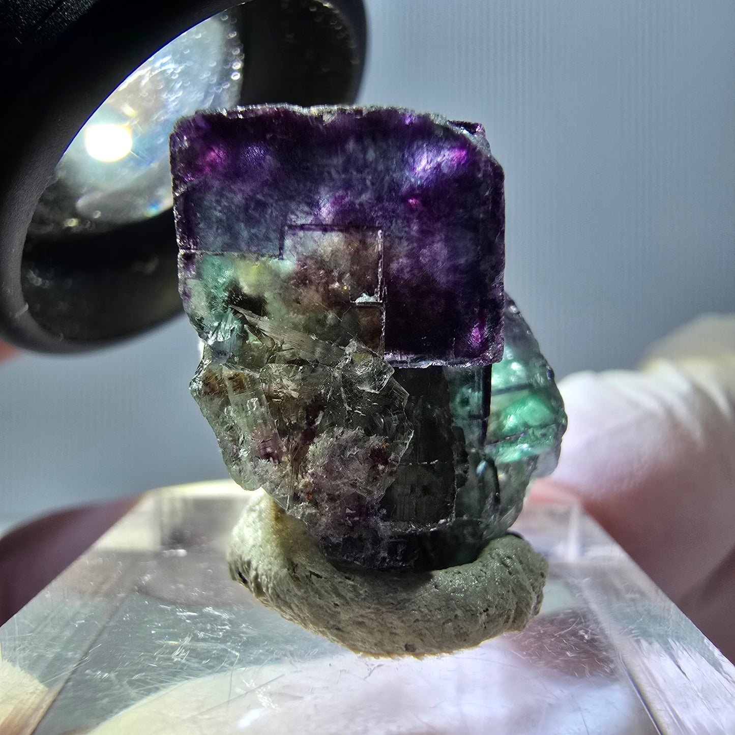 Spécimen de cube de fluorite fantôme, parqueté vert violet Okorusu, Namibie 25*19*15 mm