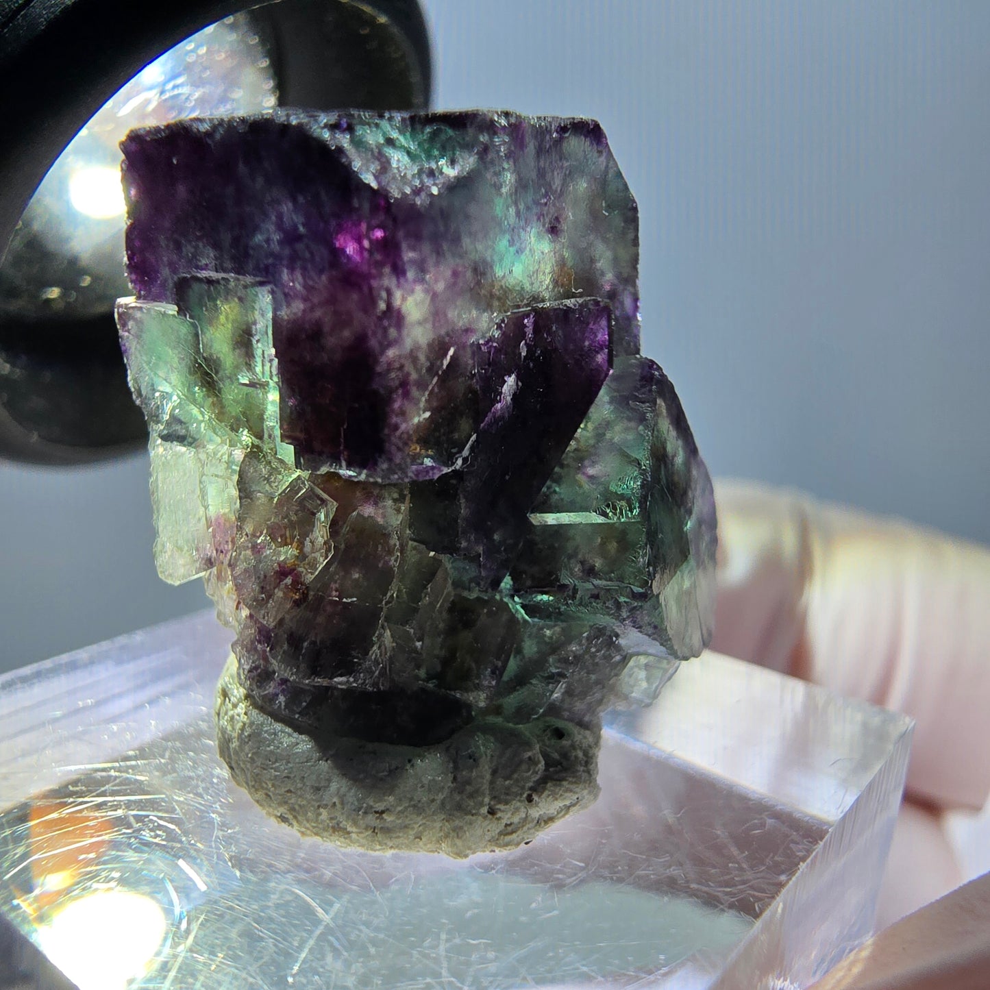 Spécimen de cube de fluorite fantôme, parqueté vert violet Okorusu, Namibie 25*19*15 mm