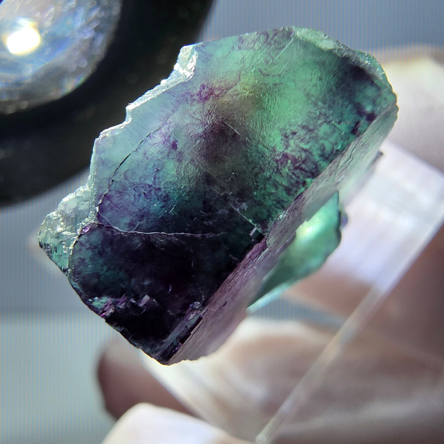 Spécimen de cube de fluorite fantôme, parqueté vert violet Okorusu, Namibie 22*20*11mm