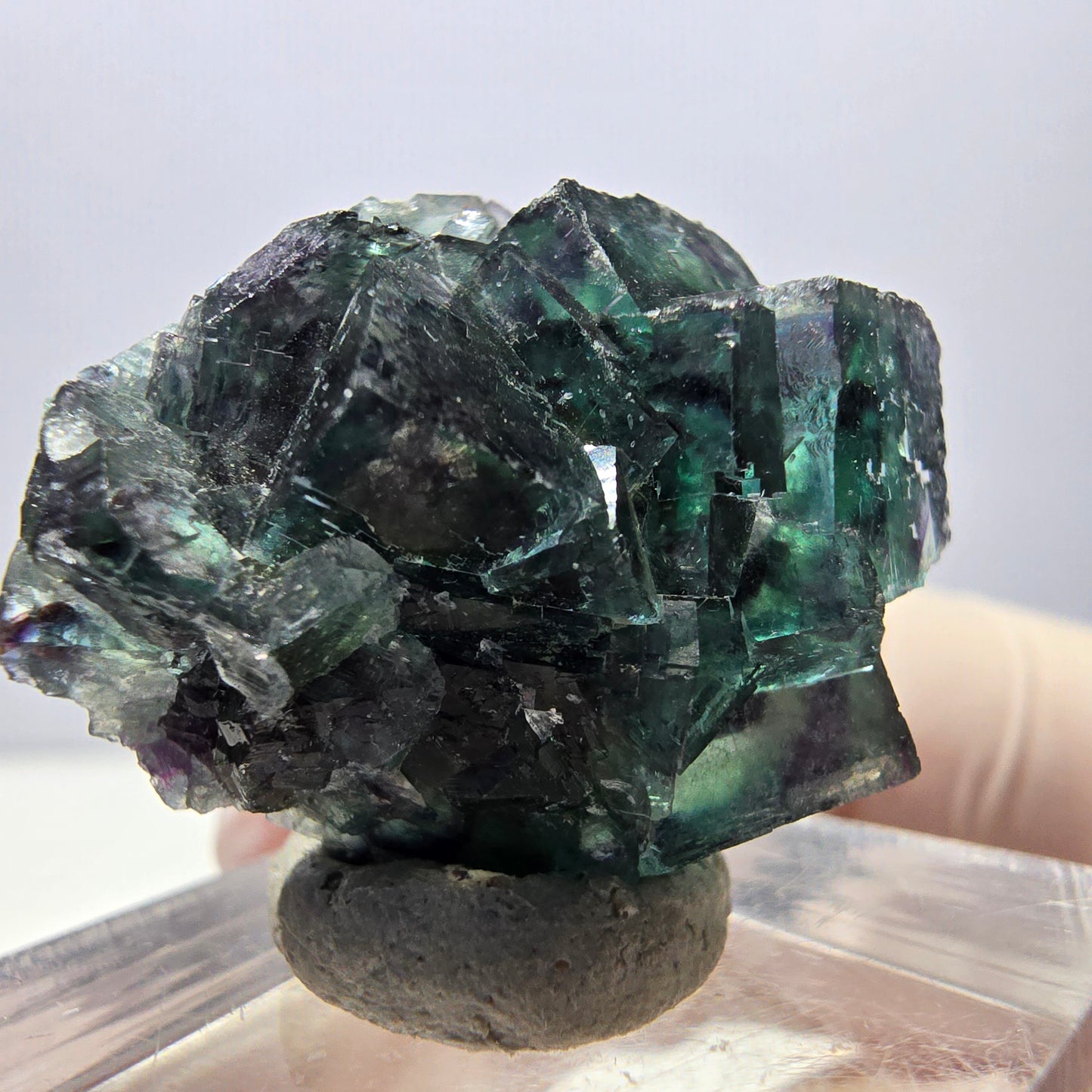 Spécimen de cube de fluorite fantôme, parqueté vert violet Okorusu, Namibie 27*24*17 mm