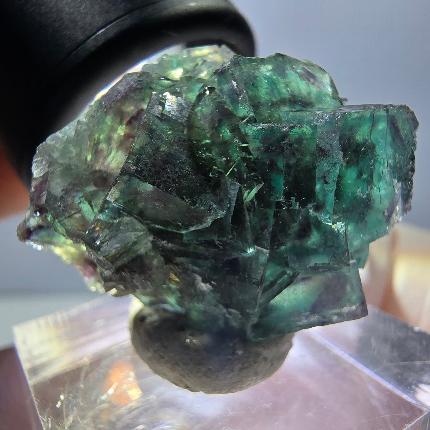Spécimen de cube de fluorite fantôme, parqueté vert violet Okorusu, Namibie 27*24*17 mm
