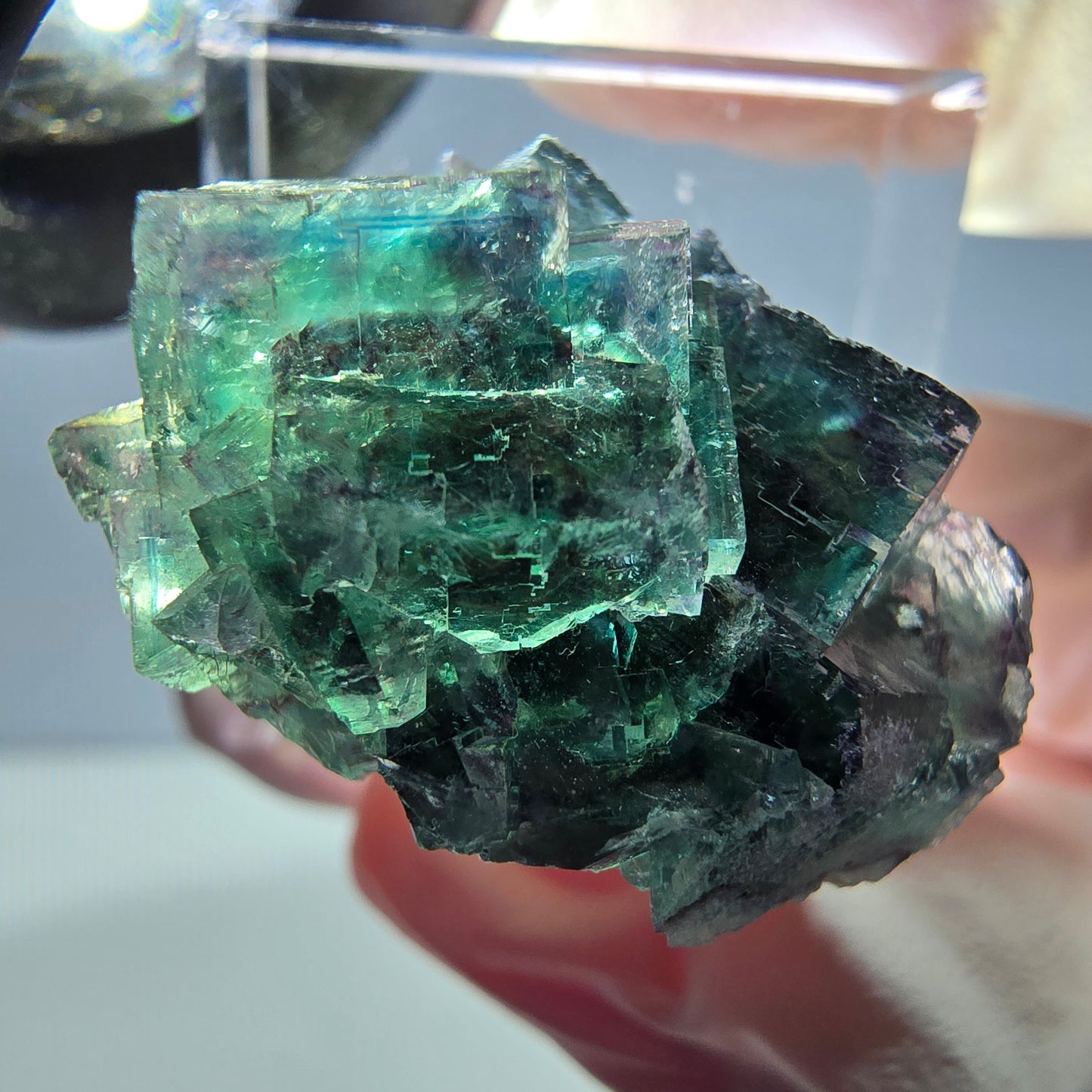 Spécimen de cube de fluorite fantôme, parqueté vert violet Okorusu, Namibie 27*24*17 mm