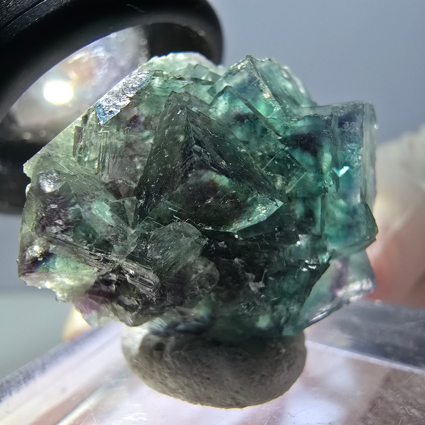 Spécimen de cube de fluorite fantôme, parqueté vert violet Okorusu, Namibie 27*24*17 mm