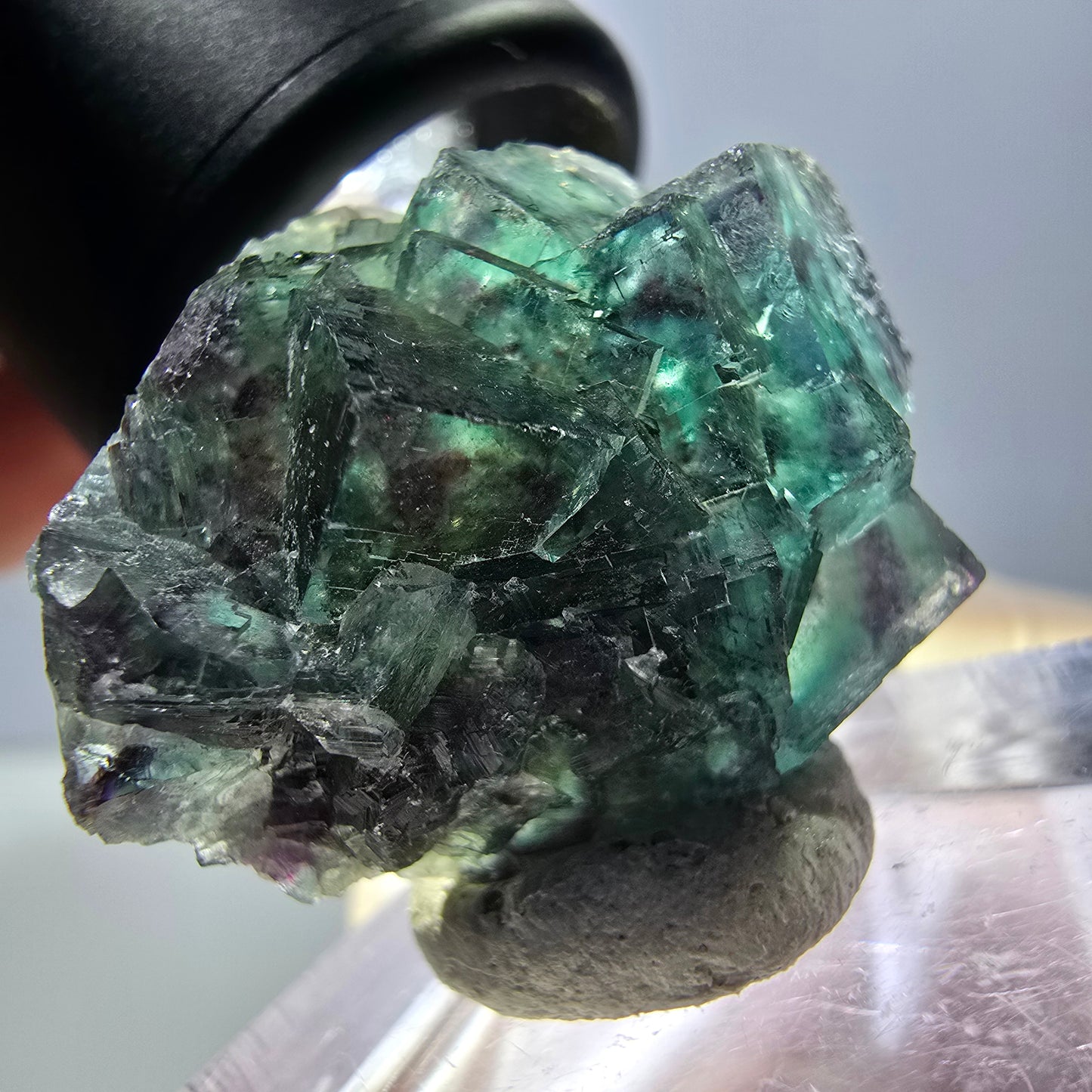 Spécimen de cube de fluorite fantôme, parqueté vert violet Okorusu, Namibie 27*24*17 mm