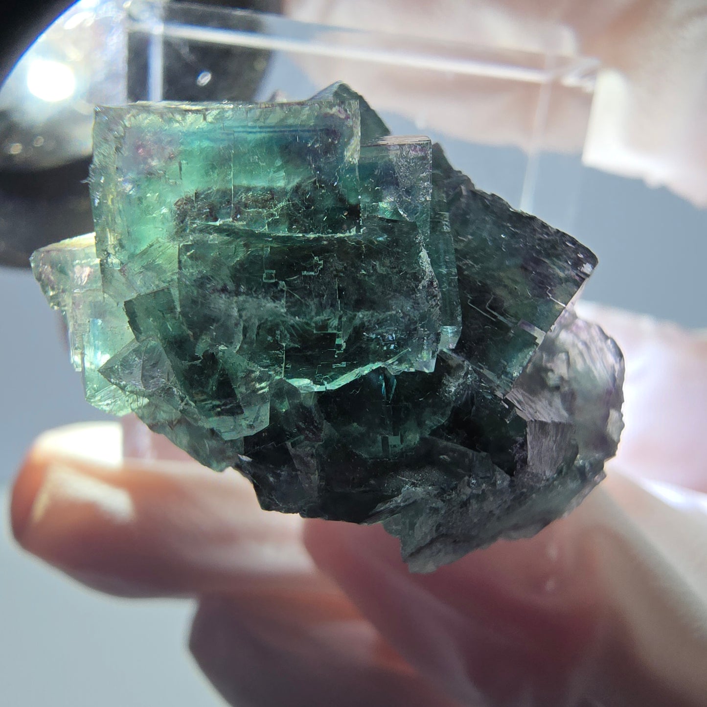 Spécimen de cube de fluorite fantôme, parqueté vert violet Okorusu, Namibie 27*24*17 mm