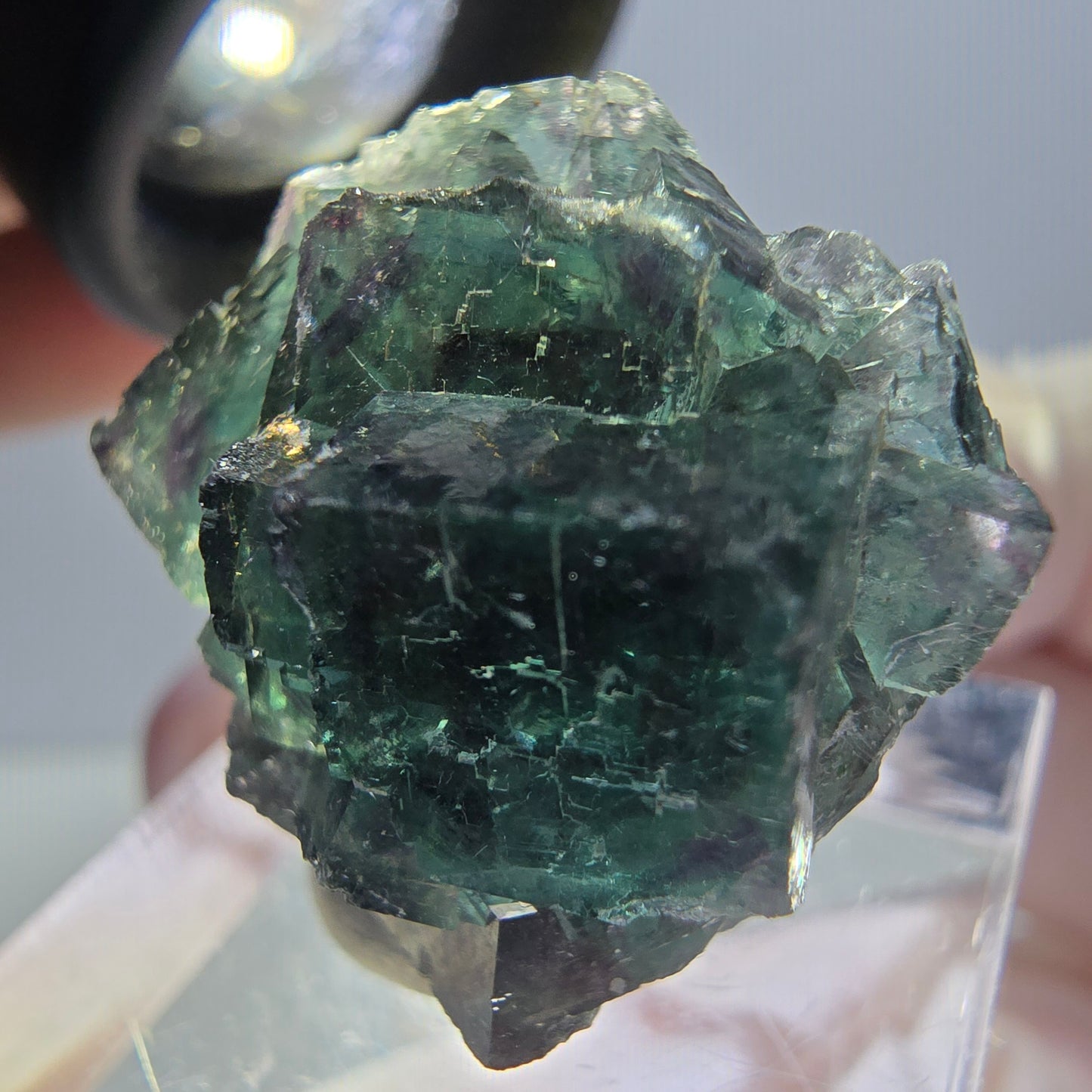 Spécimen de cube de fluorite fantôme, parqueté vert violet Okorusu, Namibie 27*24*17 mm