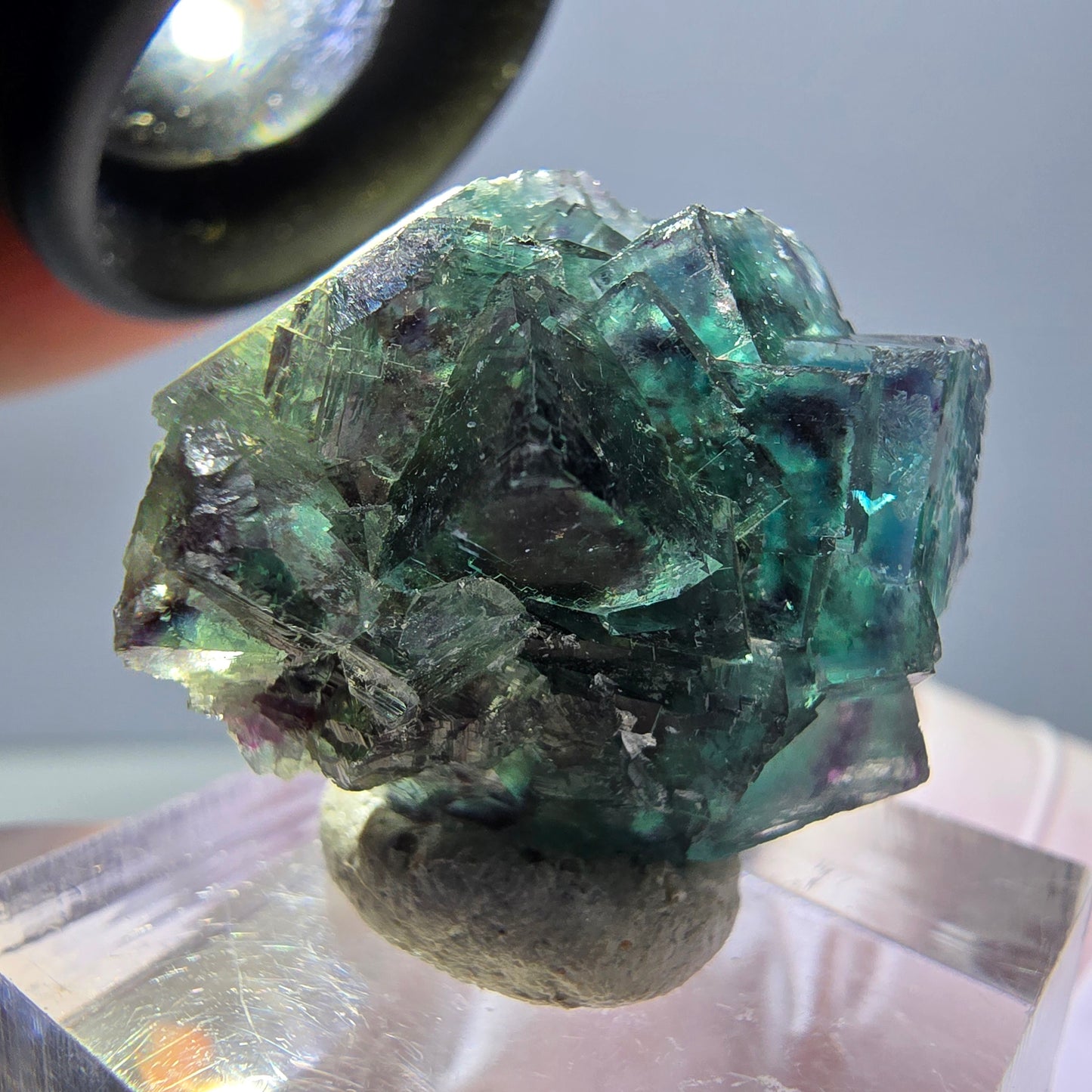 Spécimen de cube de fluorite fantôme, parqueté vert violet Okorusu, Namibie 27*24*17 mm