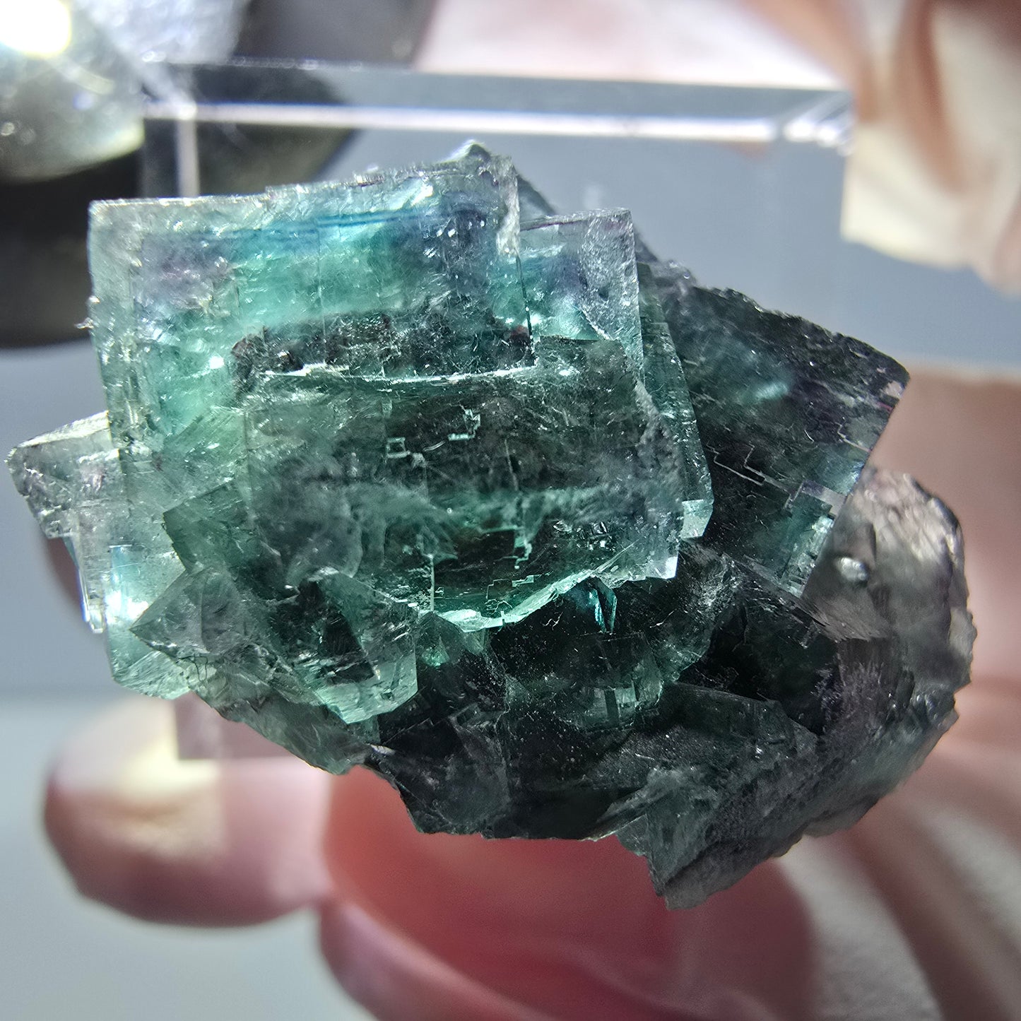 Spécimen de cube de fluorite fantôme, parqueté vert violet Okorusu, Namibie 27*24*17 mm