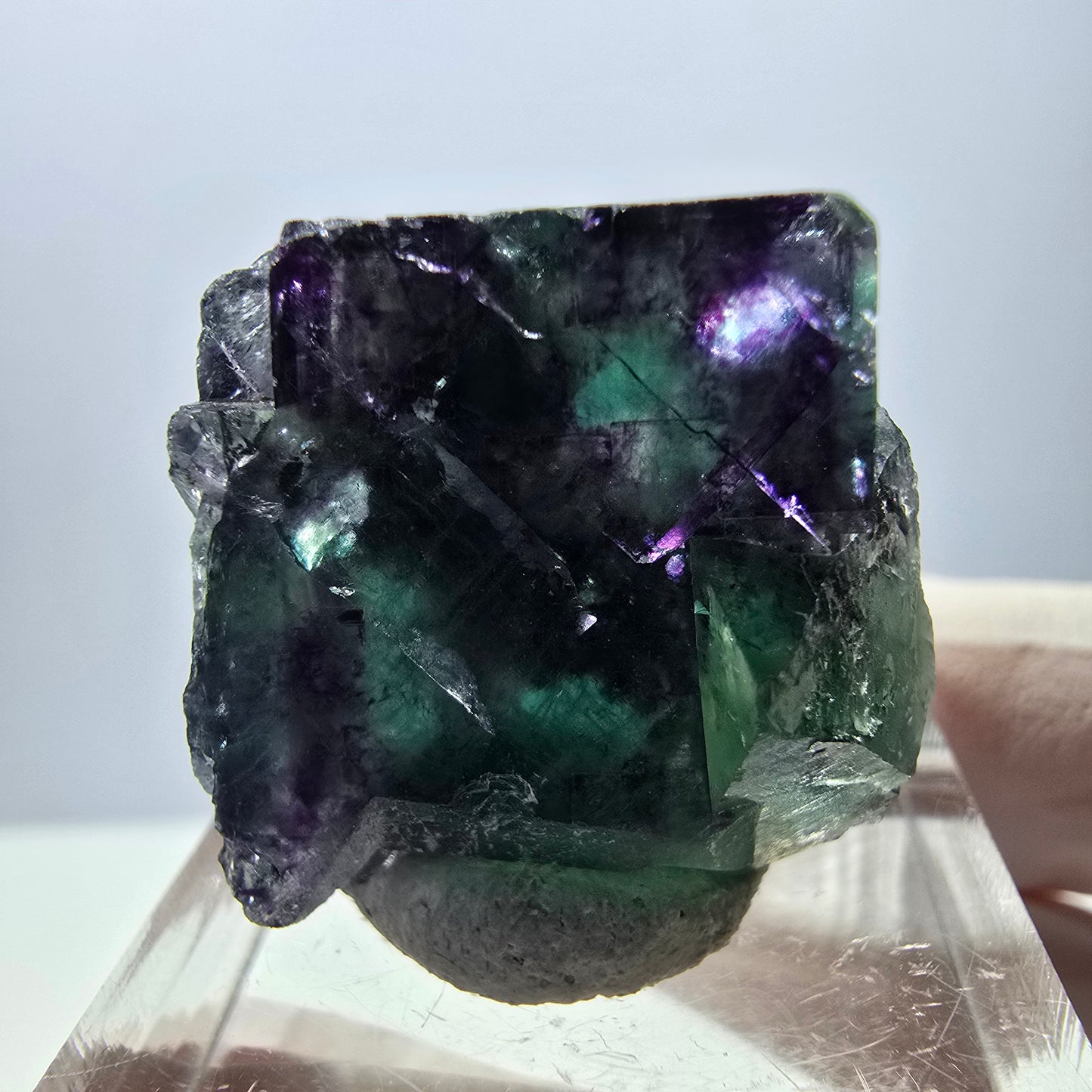 Spécimen de cube de fluorite fantôme, parqueté vert violet Okorusu, Namibie 22*22*18 mm