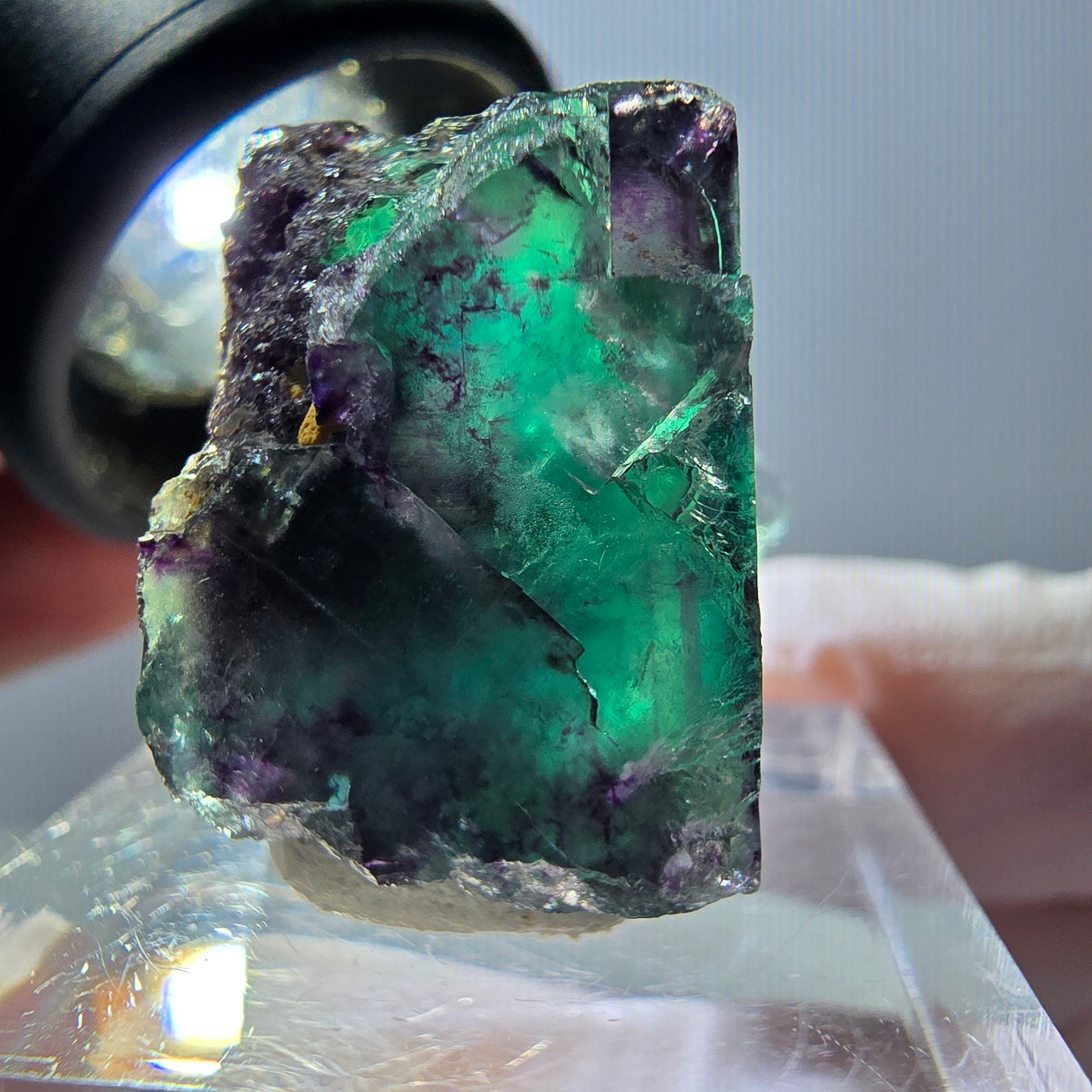 Spécimen de cube de fluorite fantôme, parqueté vert violet Okorusu, Namibie 22*22*18 mm