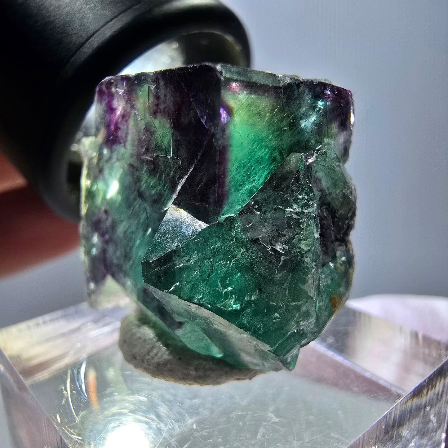 Spécimen de cube de fluorite fantôme, parqueté vert violet Okorusu, Namibie 22*22*18 mm