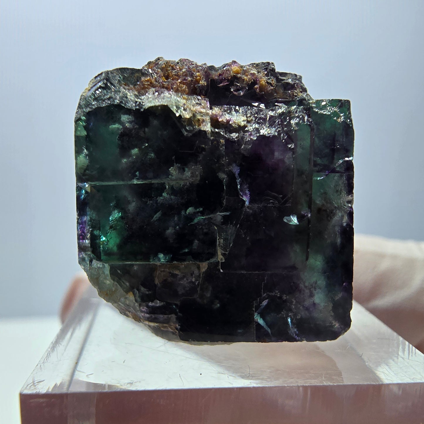 Spécimen de cube de fluorite fantôme, parqueté vert violet Okorusu, Namibie 22 x 20 x 19 mm