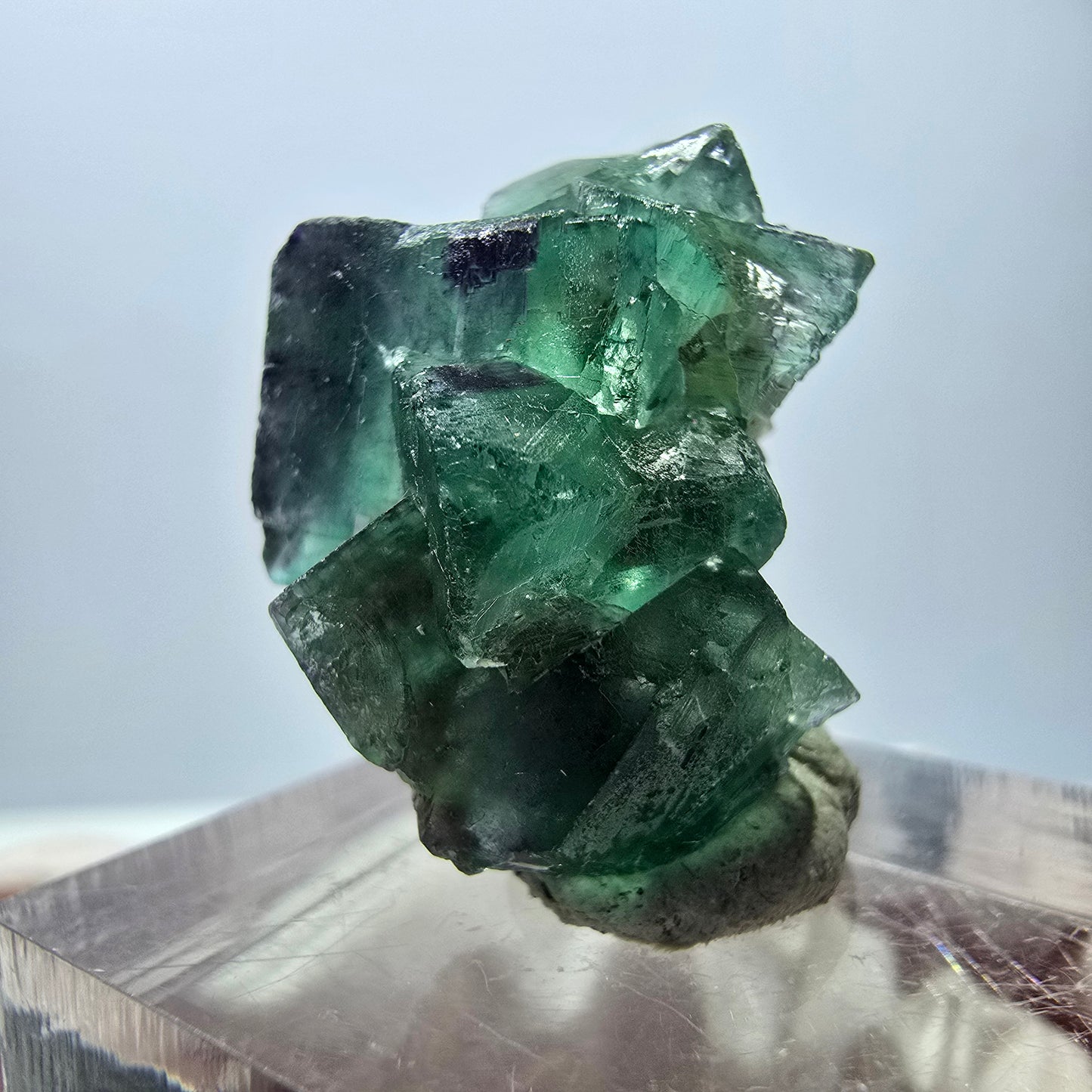 Spécimen de cube de fluorite fantôme, parqueté vert violet Okorusu, Namibie 25*21*14 mm