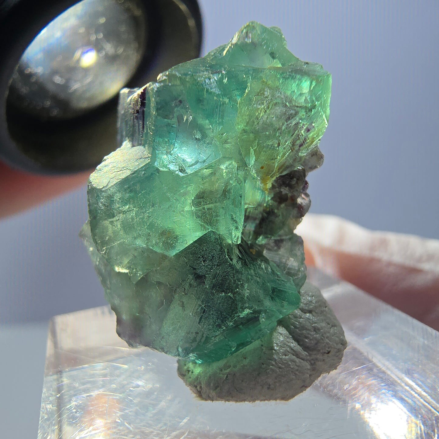 Spécimen de cube de fluorite fantôme, parqueté vert violet Okorusu, Namibie 25*21*14 mm