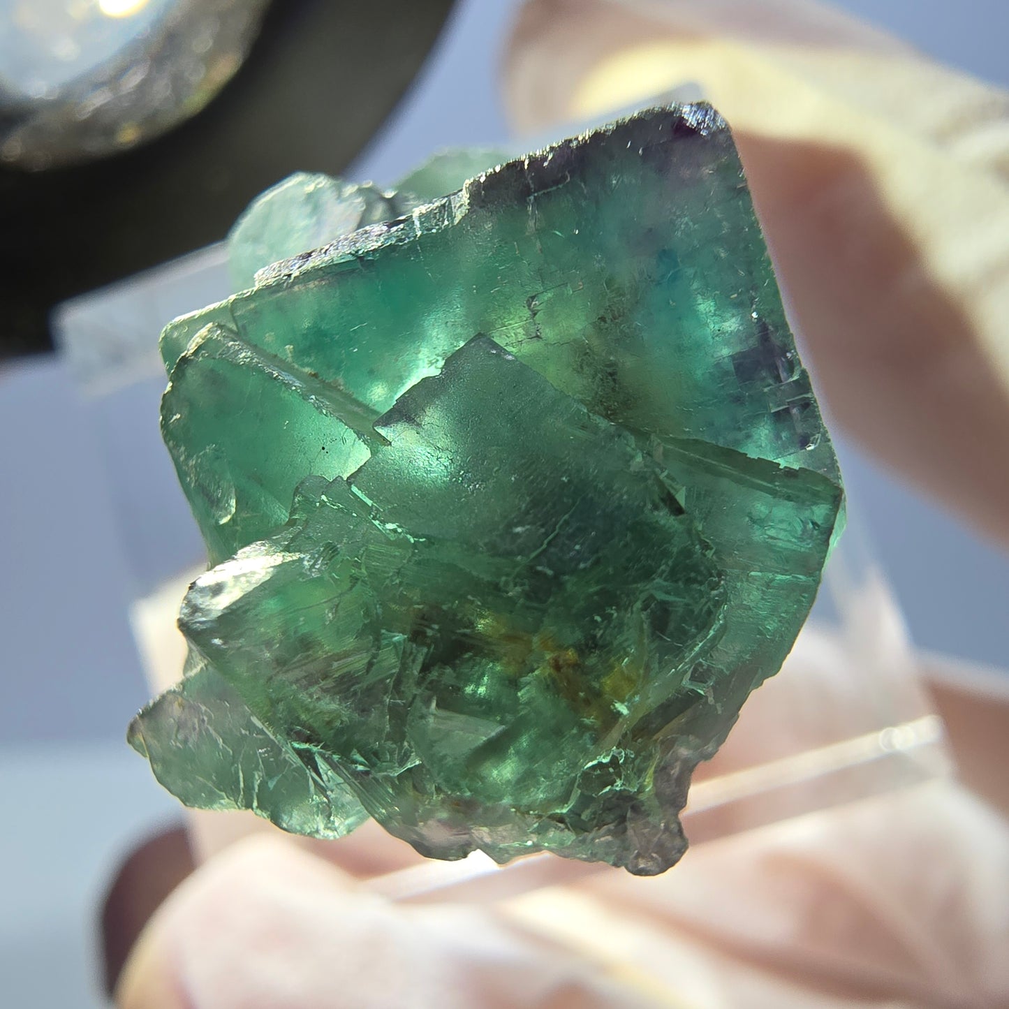 Spécimen de cube de fluorite fantôme, parqueté vert violet Okorusu, Namibie 25*21*14 mm