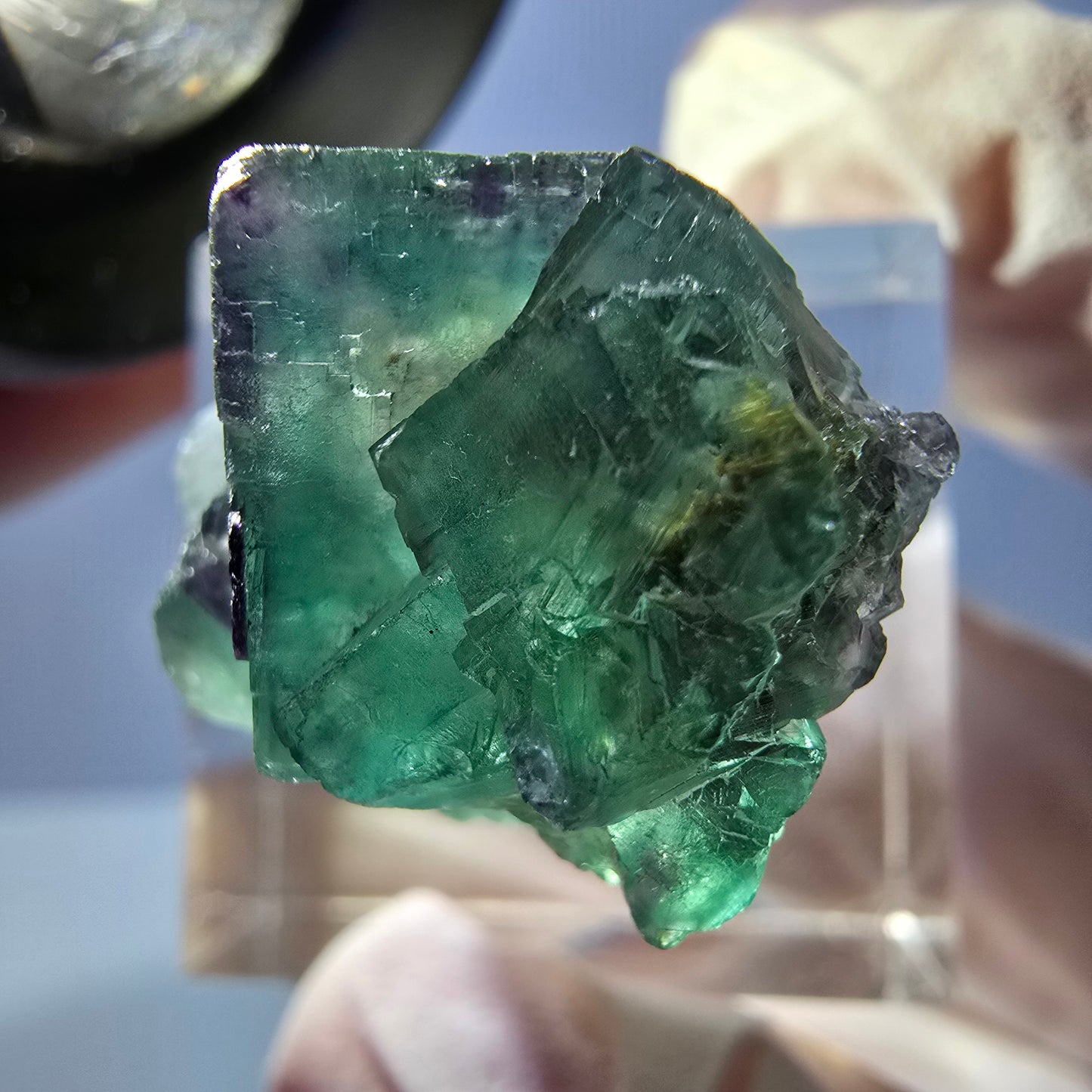 Spécimen de cube de fluorite fantôme, parqueté vert violet Okorusu, Namibie 25*21*14 mm