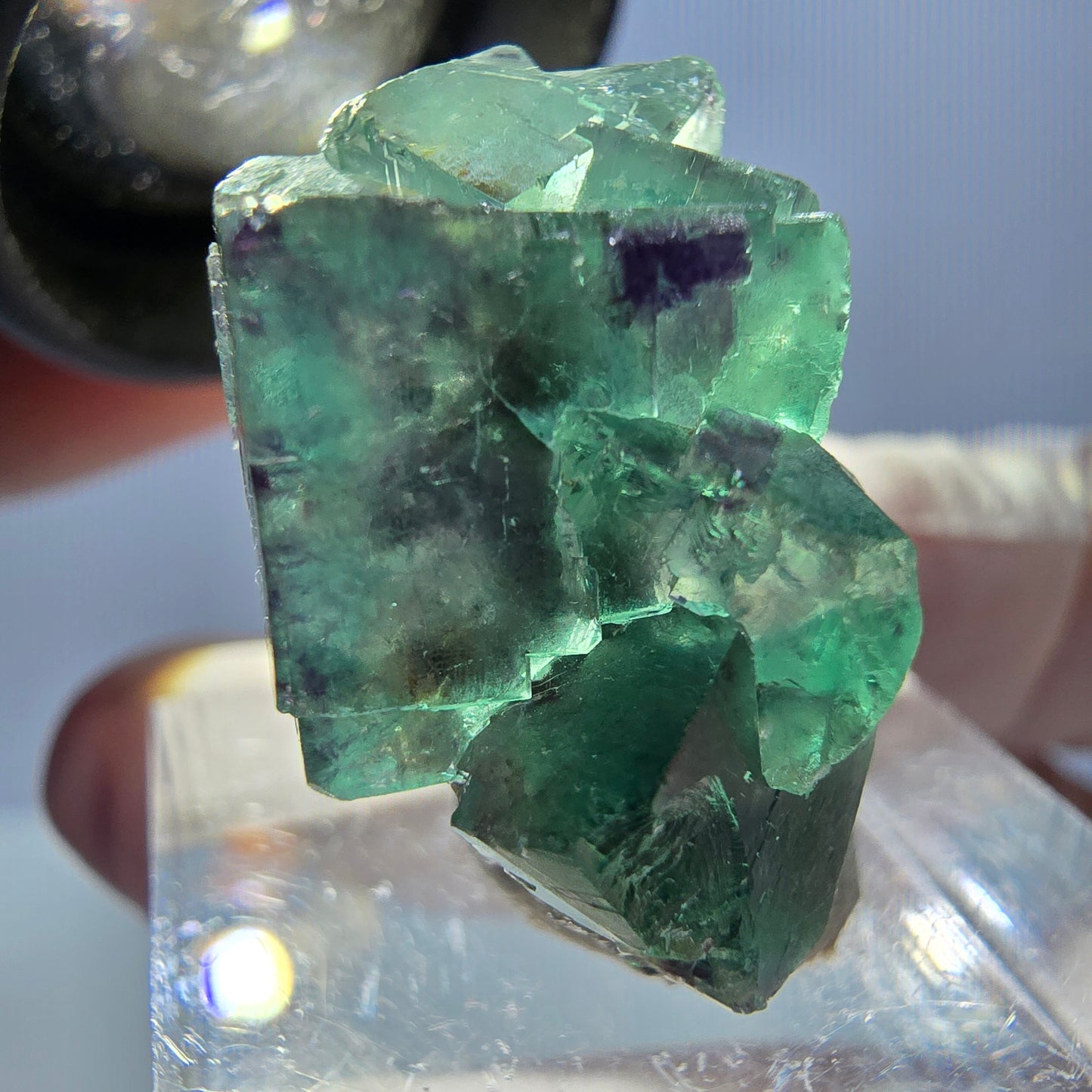 Spécimen de cube de fluorite fantôme, parqueté vert violet Okorusu, Namibie 25*21*14 mm