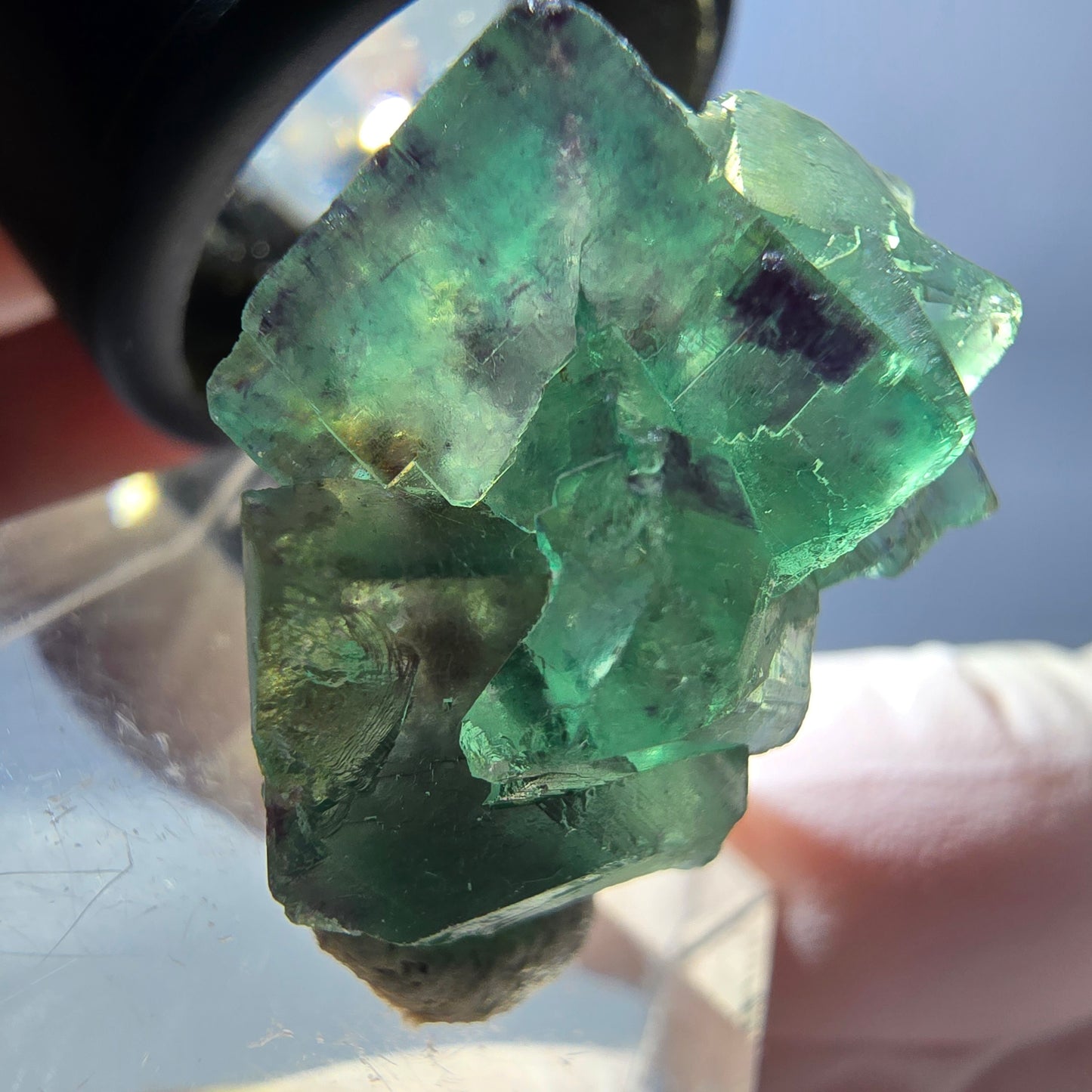 Spécimen de cube de fluorite fantôme, parqueté vert violet Okorusu, Namibie 25*21*14 mm
