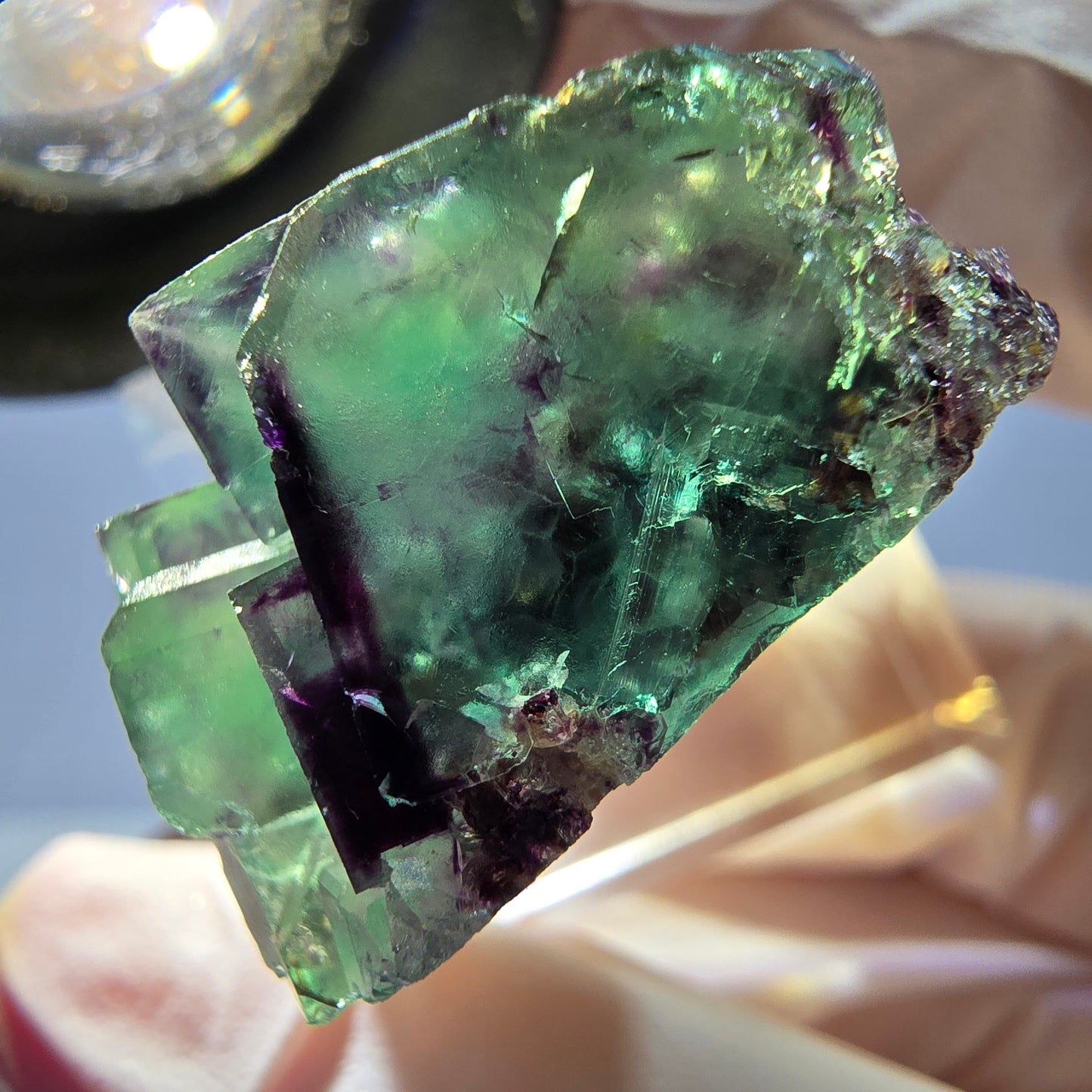 Spécimen de cube de fluorite fantôme, parqueté vert violet Okorusu, Namibie 26*25*16 mm