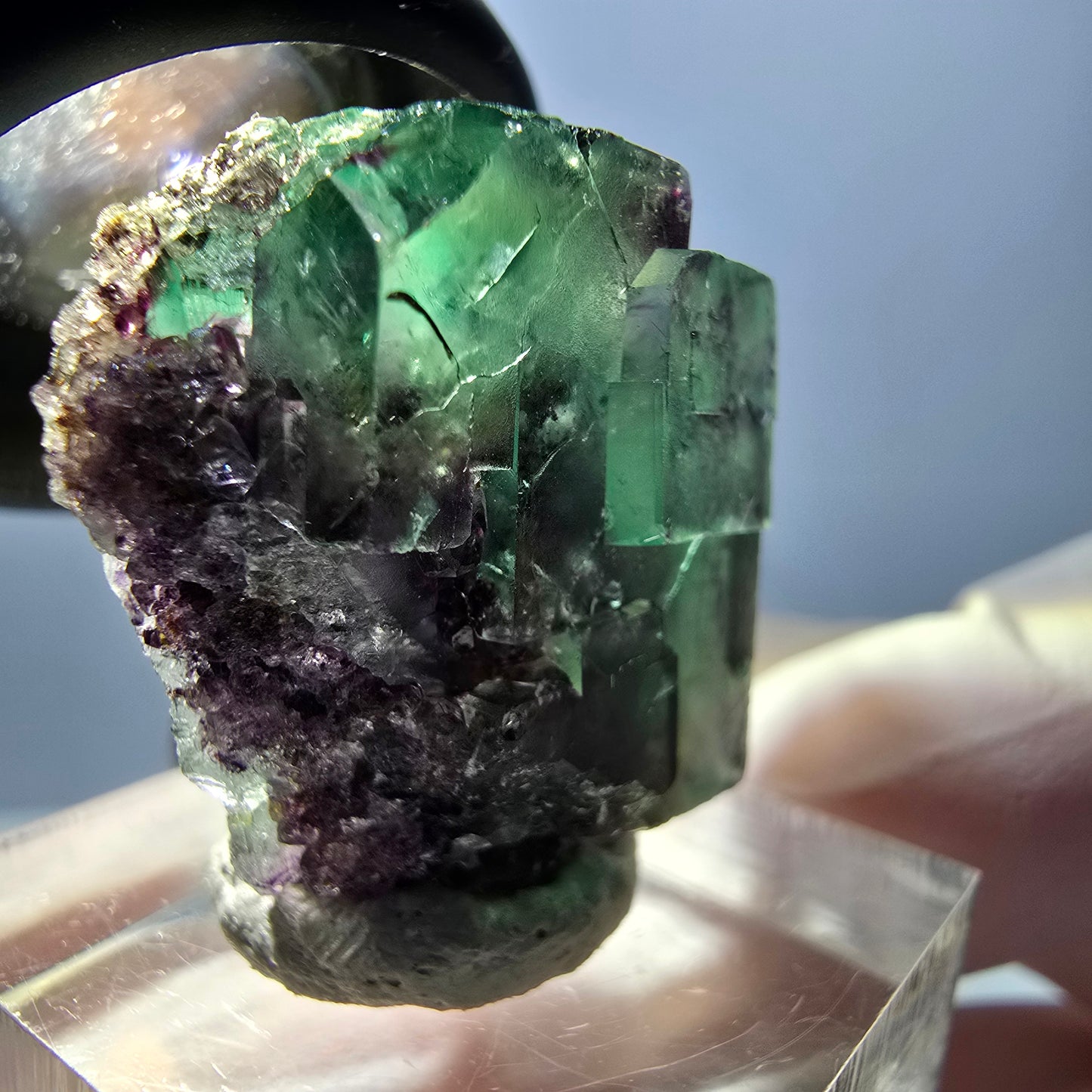 Spécimen de cube de fluorite fantôme, parqueté vert violet Okorusu, Namibie 26*25*16 mm