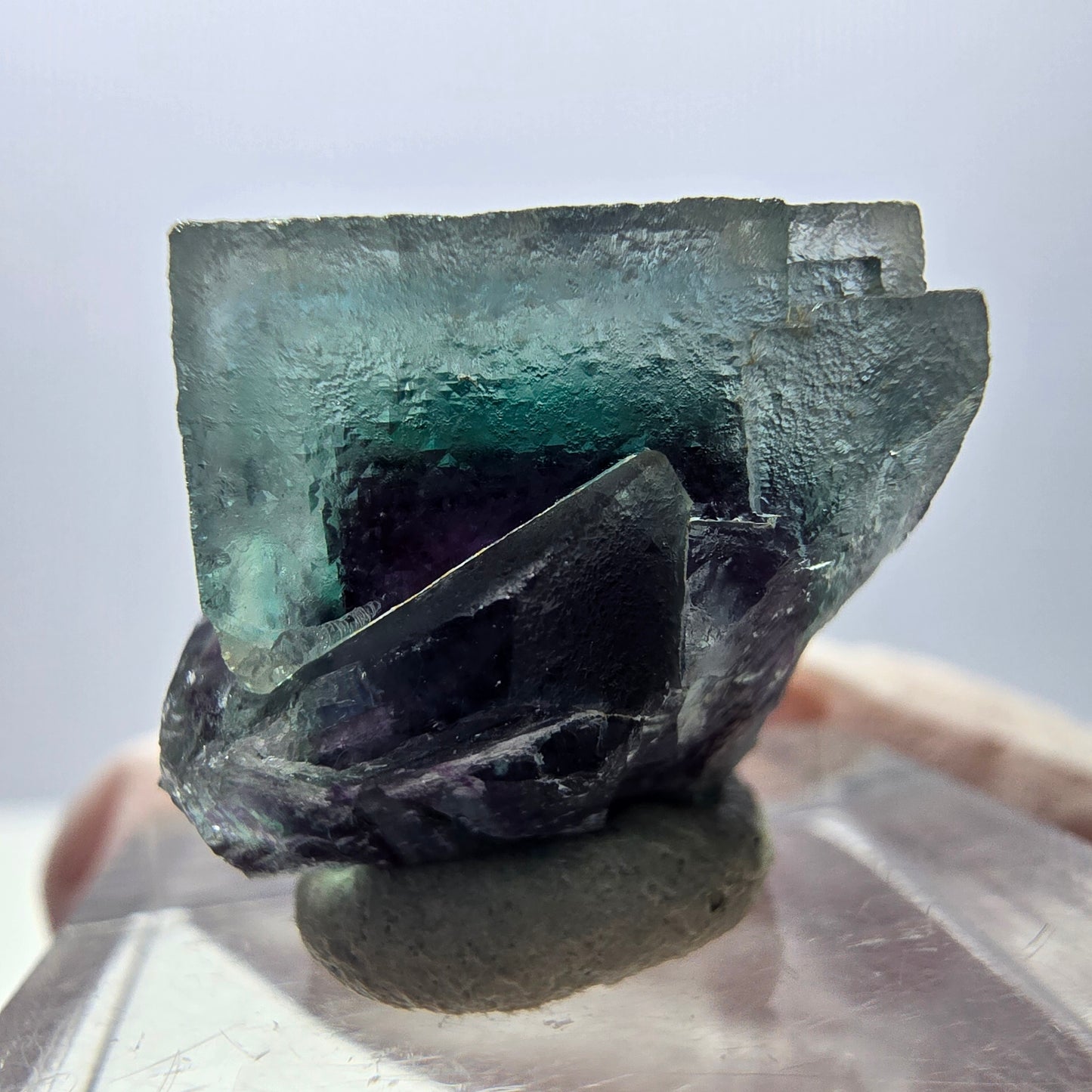 Spécimen de cube de fluorite fantôme, parqueté vert violet Okorusu, Namibie 19 x 18 x 15 mm