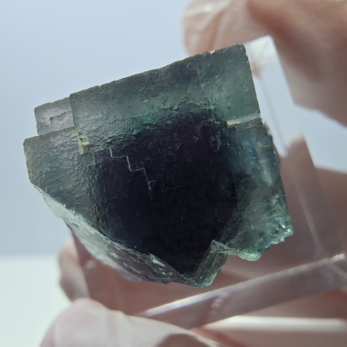 Spécimen de cube de fluorite fantôme, parqueté vert violet Okorusu, Namibie 19 x 18 x 15 mm