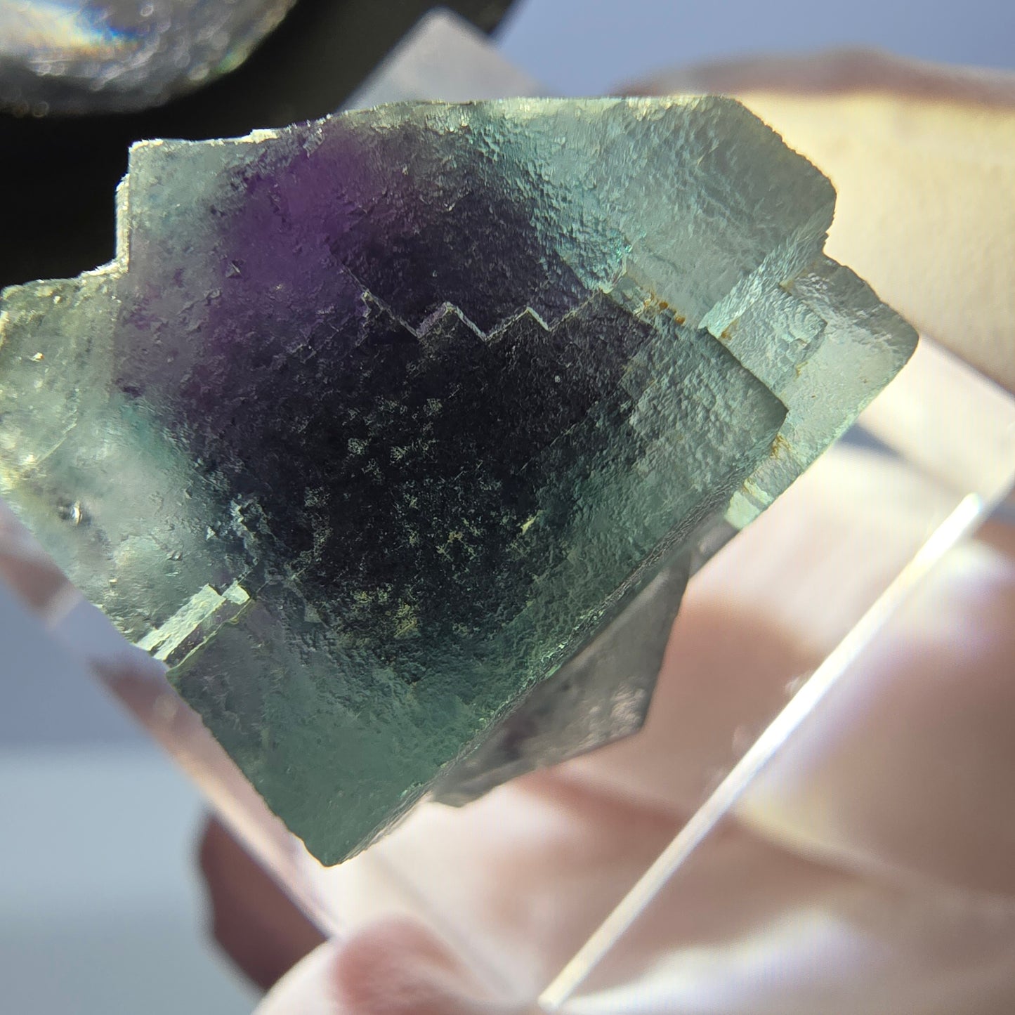 Spécimen de cube de fluorite fantôme, parqueté vert violet Okorusu, Namibie 19 x 18 x 15 mm