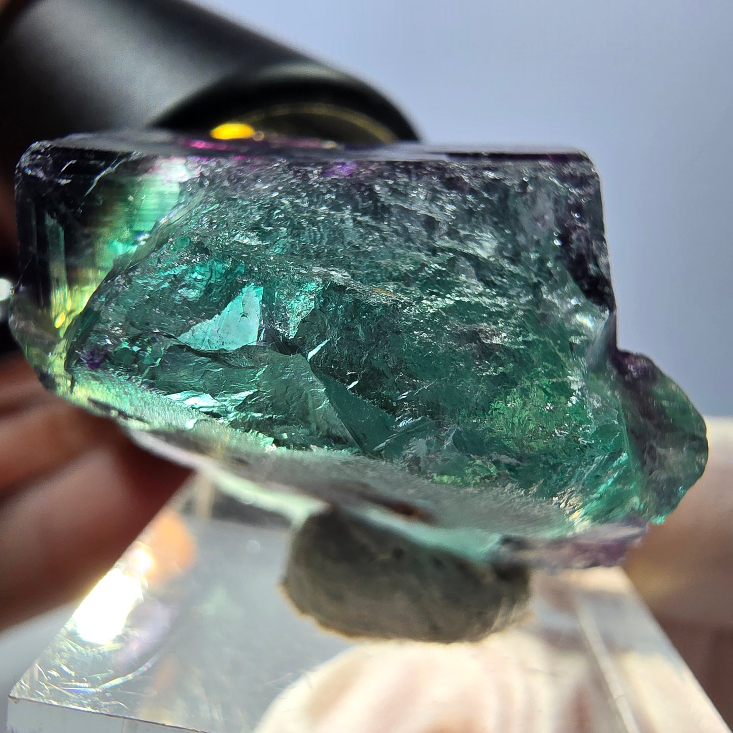 Spécimen de cube de fluorite fantôme, parqueté vert violet Okorusu, Namibie 28*24*22 mm