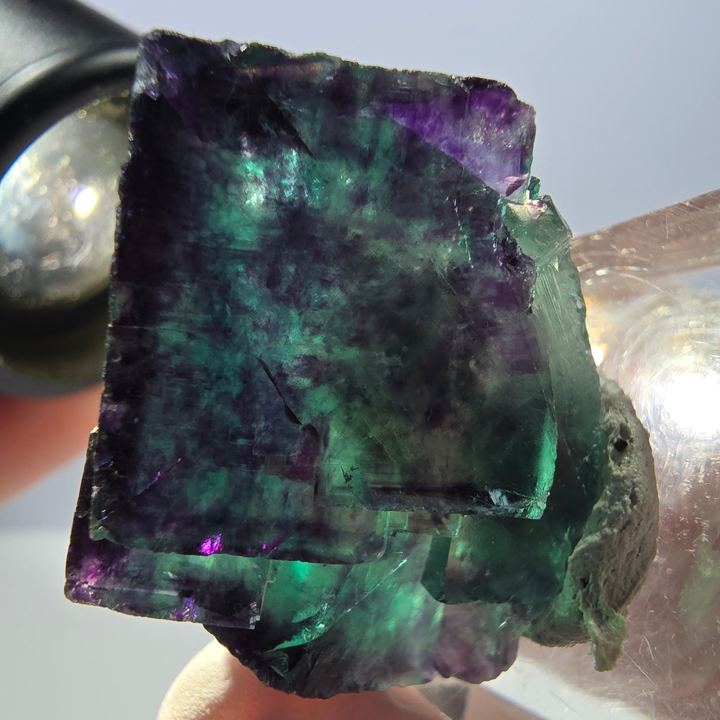 Spécimen de cube de fluorite fantôme, parqueté vert violet Okorusu, Namibie 28*24*22 mm