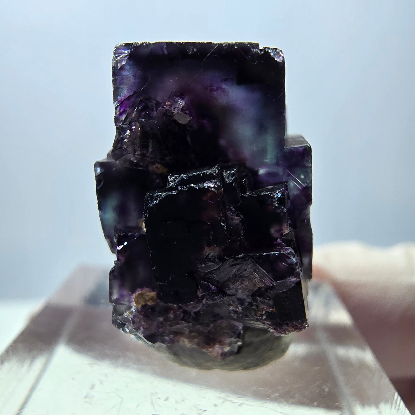 Spécimen de cube de fluorite fantôme, parqueté vert violet Okorusu, Namibie 22 x 20 x 14 mm