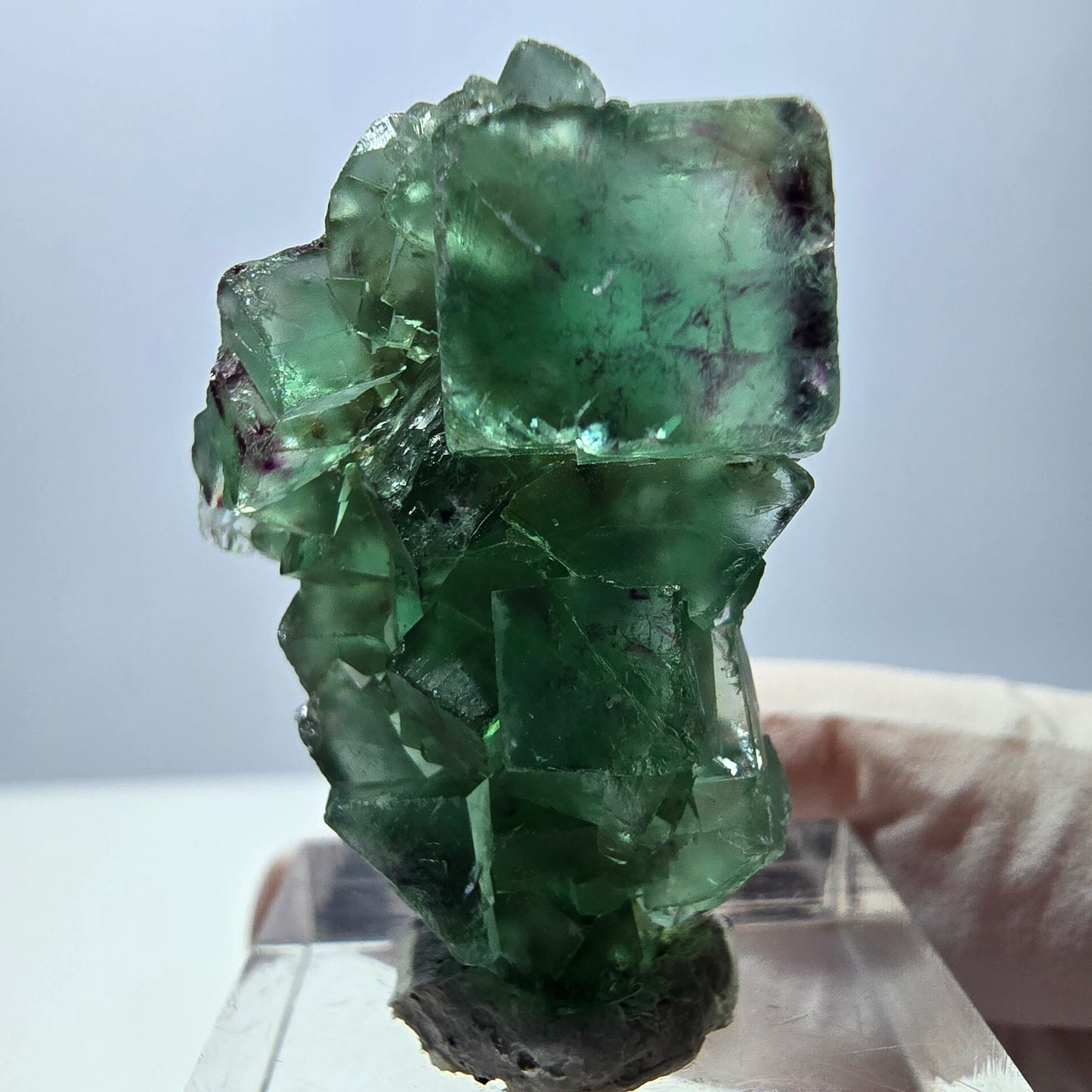 Spécimen de cube de fluorite fantôme, vert violet, Okorusu, Namibie, 34 x 27 x 13 mm