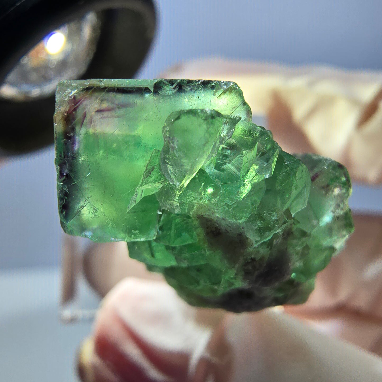 Spécimen de cube de fluorite fantôme, vert violet, Okorusu, Namibie, 34 x 27 x 13 mm