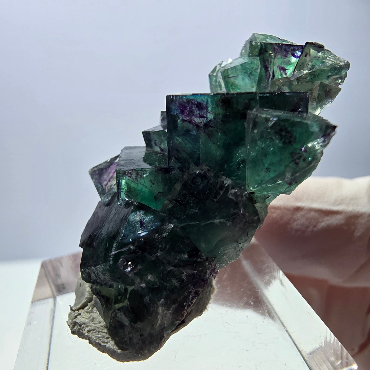Spécimen de cube de fluorite fantôme, parqueté vert violet Okorusu, Namibie 37*22*13 mm