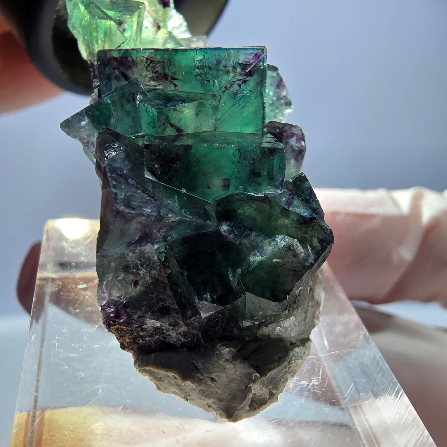 Spécimen de cube de fluorite fantôme, parqueté vert violet Okorusu, Namibie 37*22*13 mm
