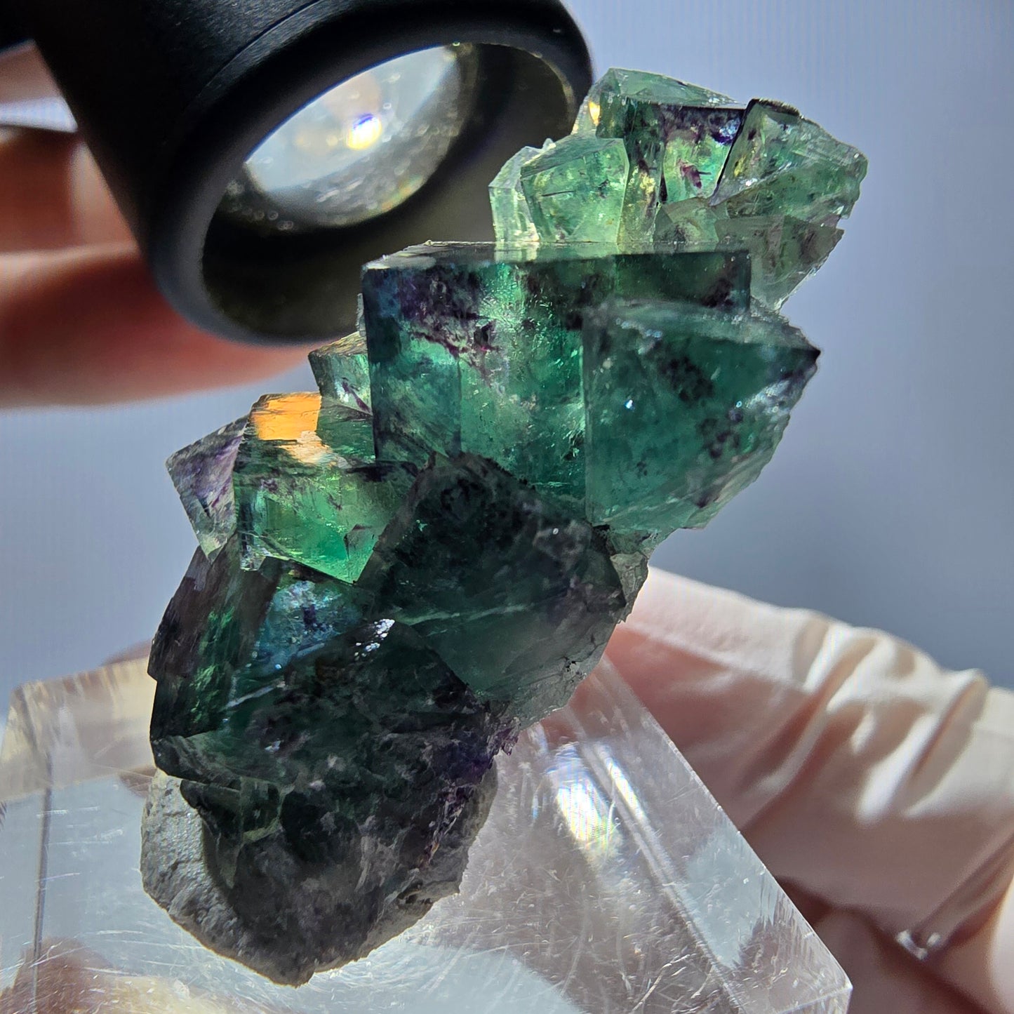 Spécimen de cube de fluorite fantôme, parqueté vert violet Okorusu, Namibie 37*22*13 mm
