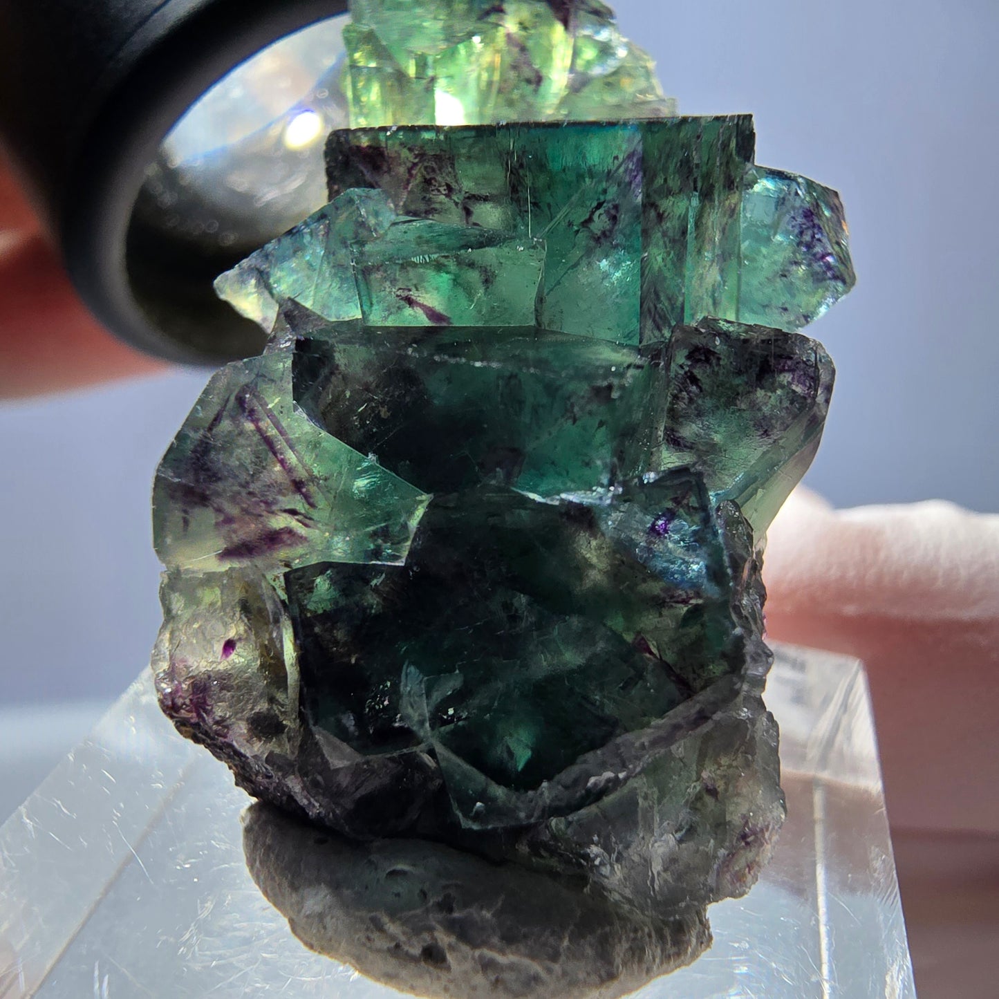 Spécimen de cube de fluorite fantôme, parqueté vert violet Okorusu, Namibie 37*22*13 mm