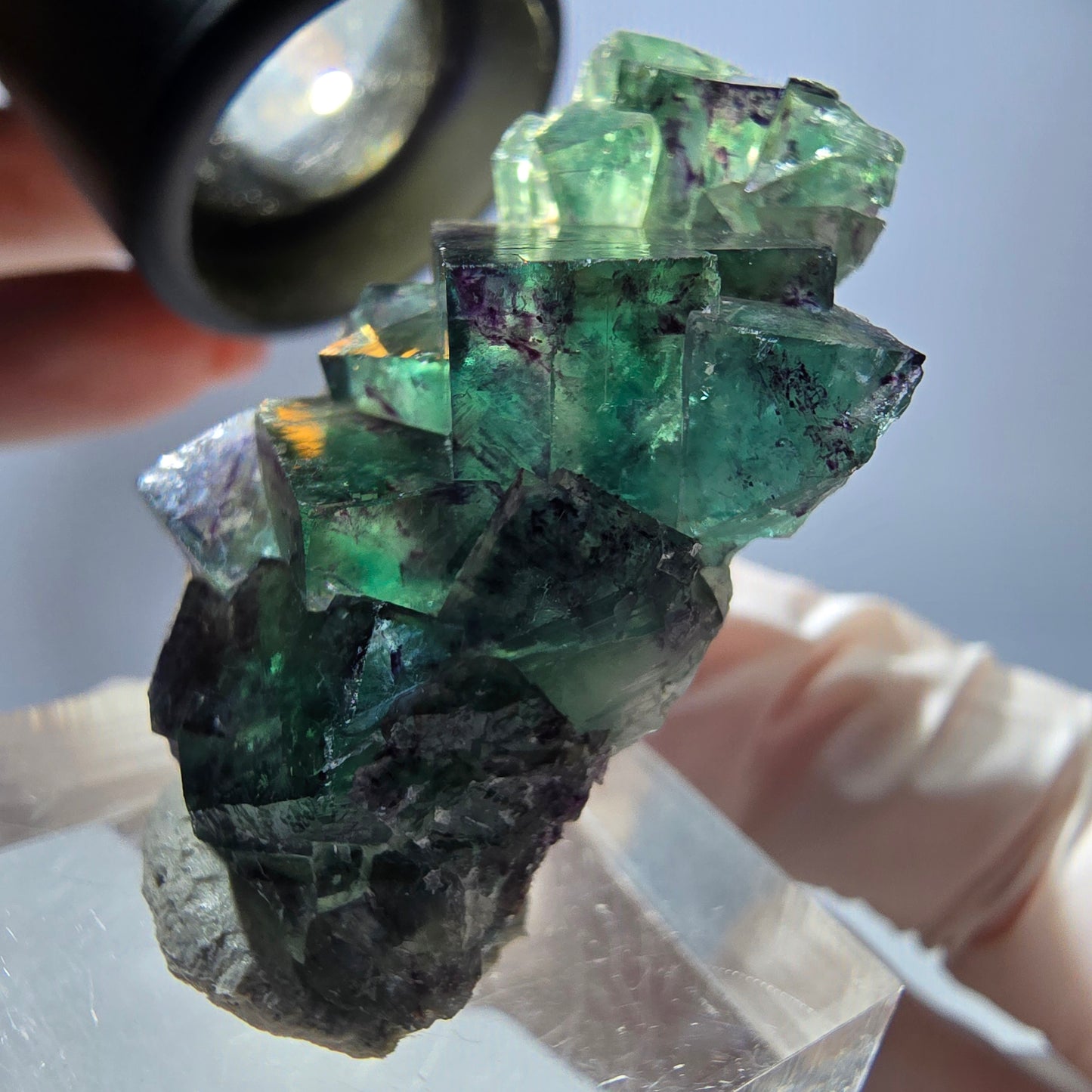 Spécimen de cube de fluorite fantôme, parqueté vert violet Okorusu, Namibie 37*22*13 mm