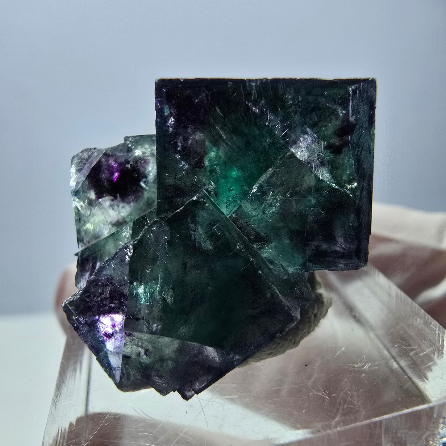 Spécimen de cube de fluorite fantôme, parqueté vert violet Okorusu, Namibie 31*25*20 mm