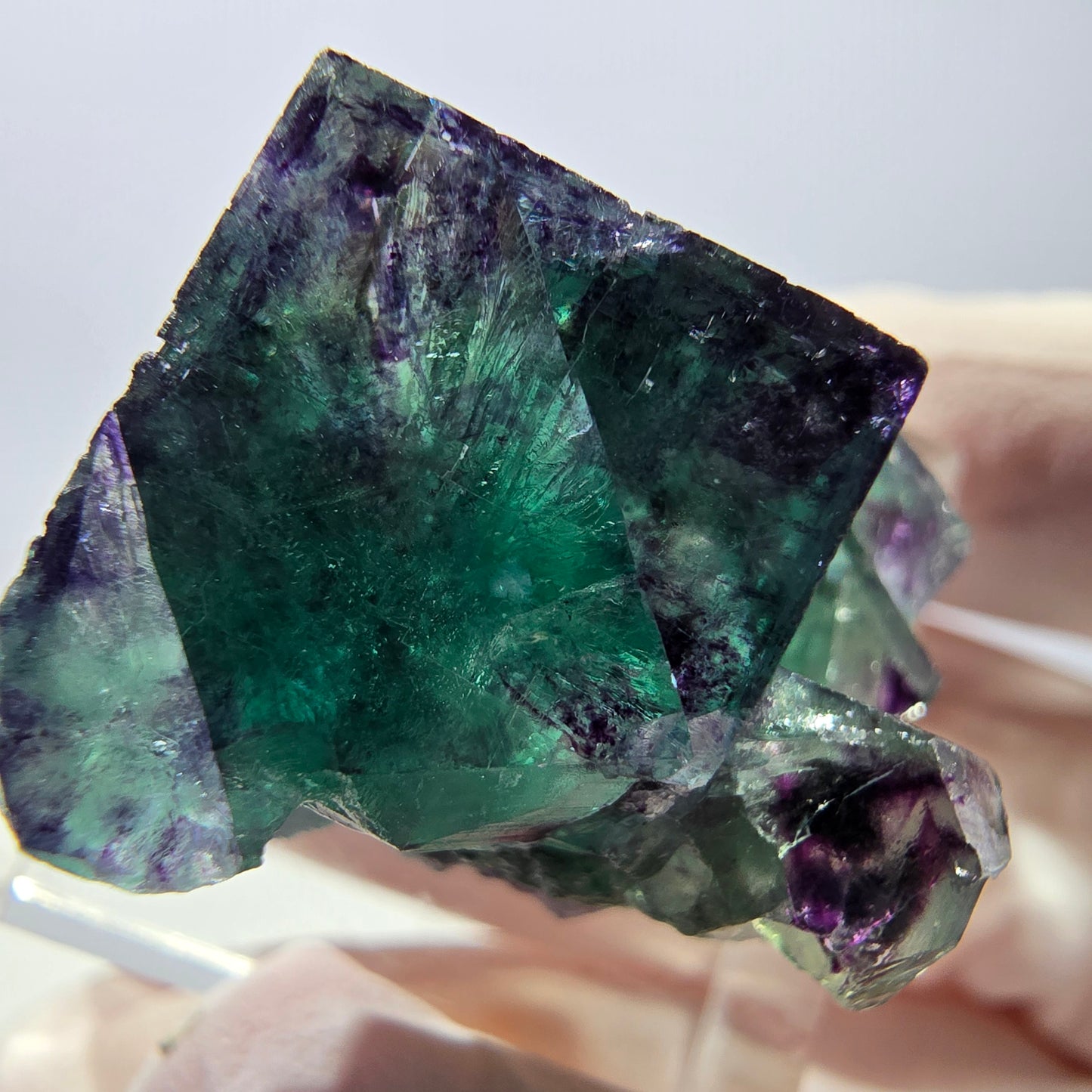 Spécimen de cube de fluorite fantôme, parqueté vert violet Okorusu, Namibie 31*25*20 mm