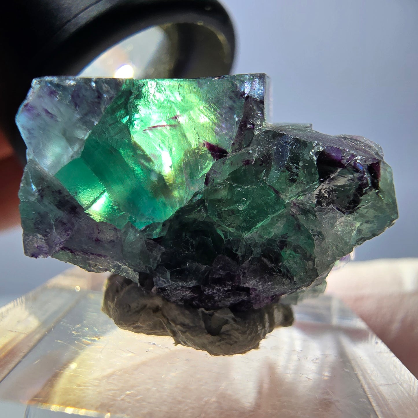 Spécimen de cube de fluorite fantôme, parqueté vert violet Okorusu, Namibie 31*25*20 mm