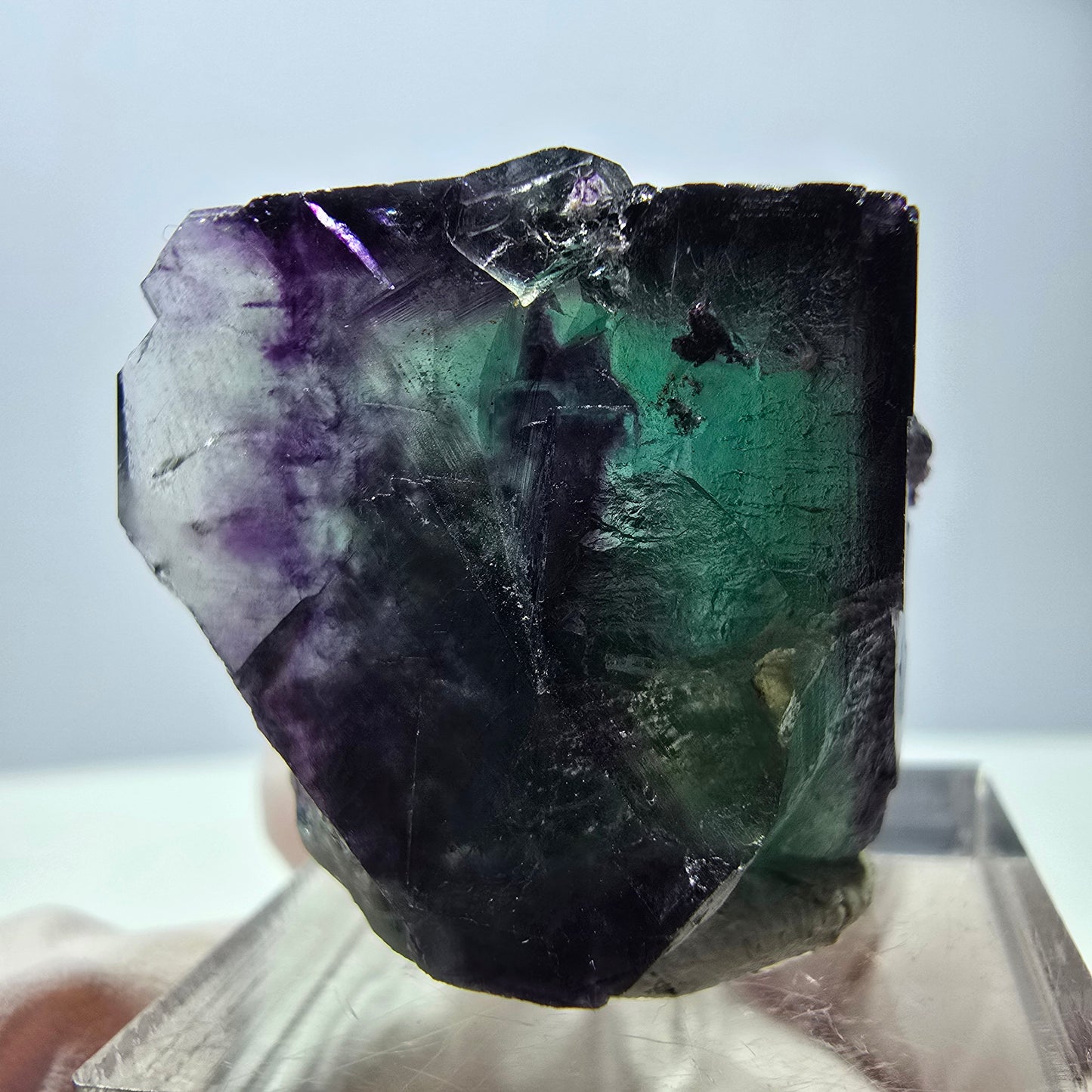 Spécimen de cube de fluorite fantôme, parqueté vert violet Okorusu, Namibie 31*22*16 mm