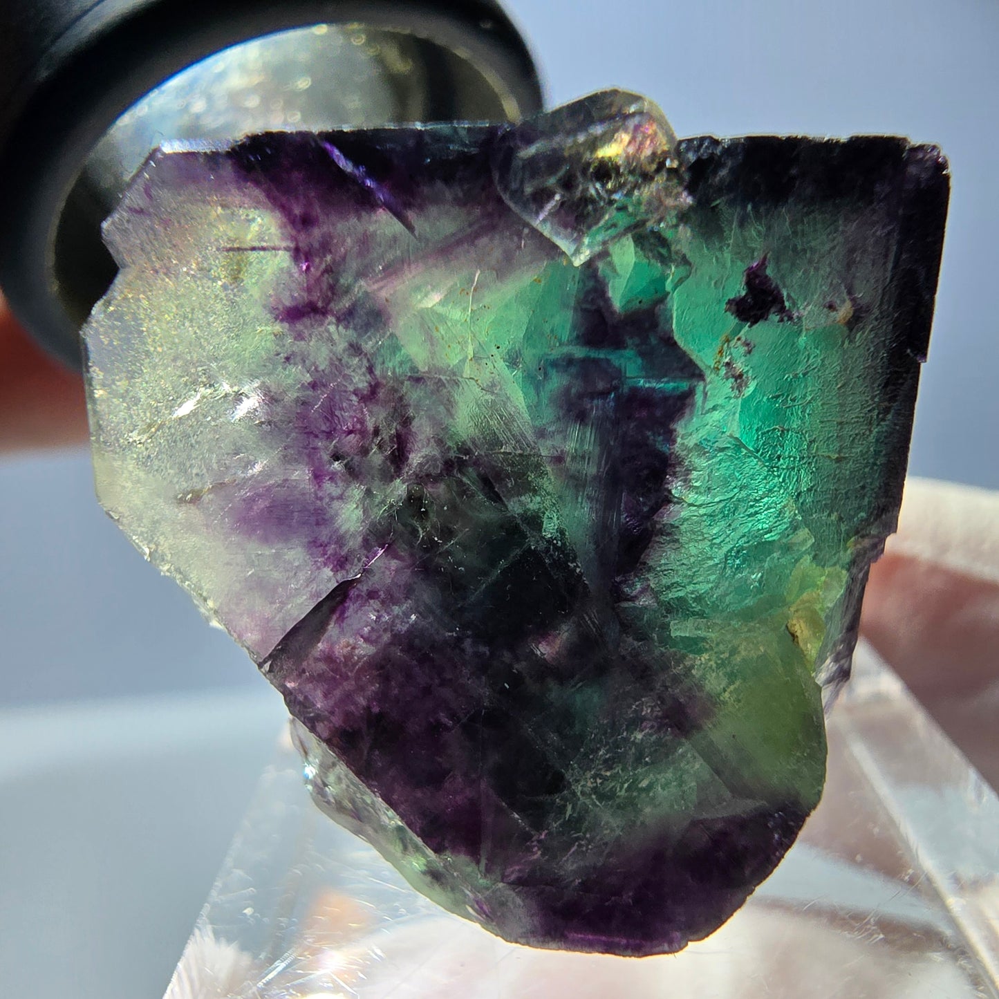 Spécimen de cube de fluorite fantôme, parqueté vert violet Okorusu, Namibie 31*22*16 mm