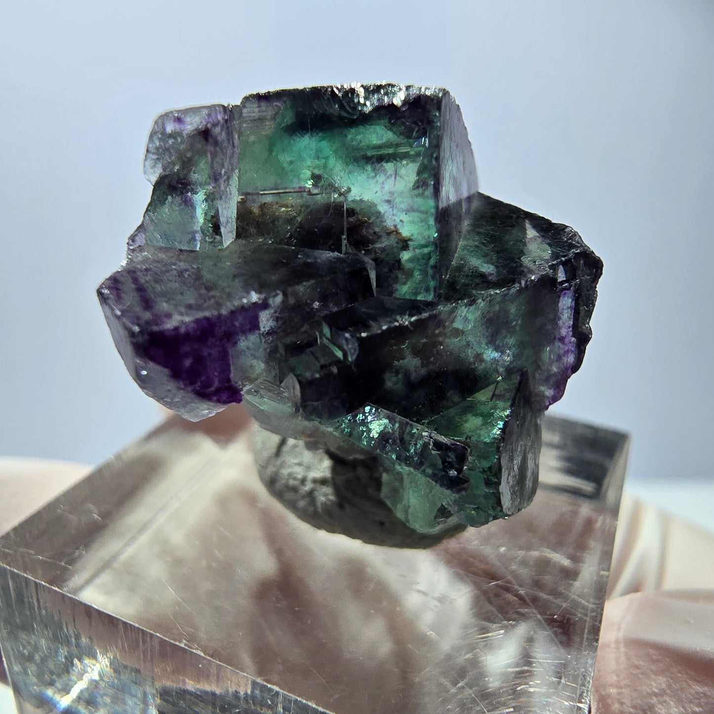 Spécimen de cube de fluorite fantôme, parqueté vert violet Okorusu, Namibie 28*21*15 mm