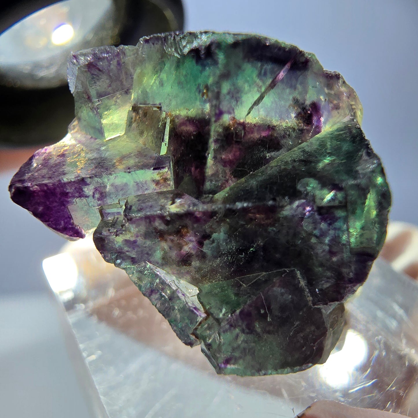 Spécimen de cube de fluorite fantôme, parqueté vert violet Okorusu, Namibie 28*21*15 mm