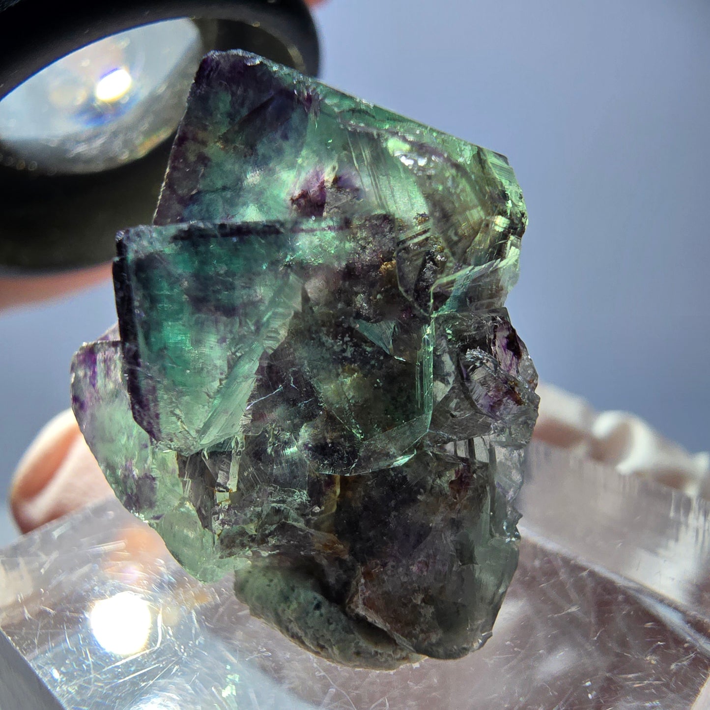 Spécimen de cube de fluorite fantôme, parqueté vert violet Okorusu, Namibie 28*21*15 mm