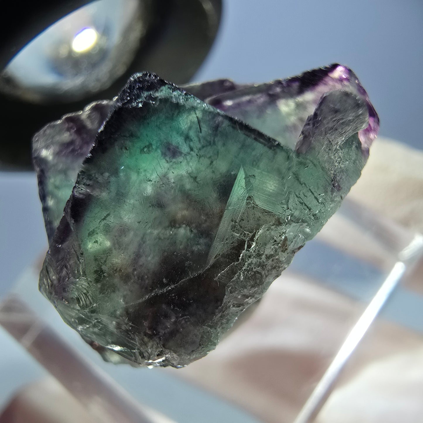 Spécimen de cube de fluorite fantôme, parqueté vert violet Okorusu, Namibie 28*21*15 mm