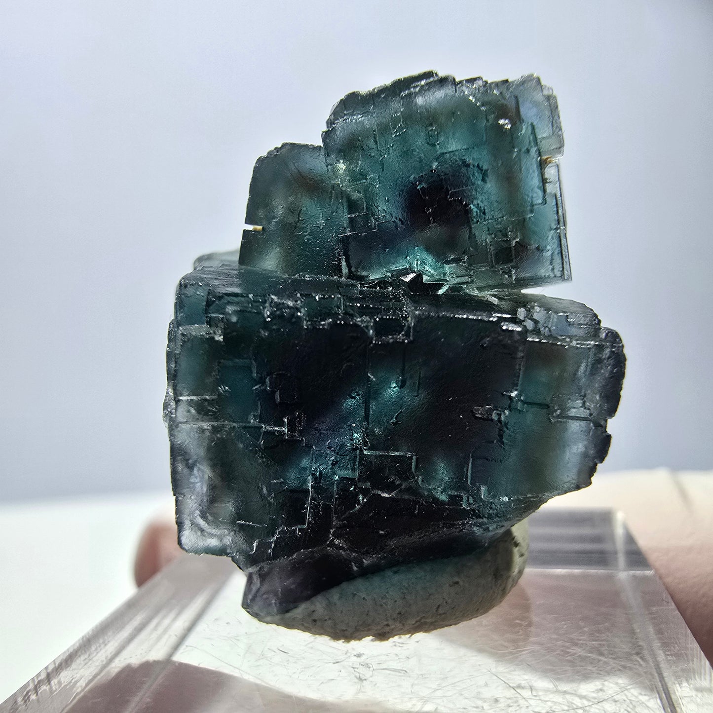 Spécimen de cube de fluorite fantôme, parqueté vert violet Okorusu, Namibie 25*18*18 mm