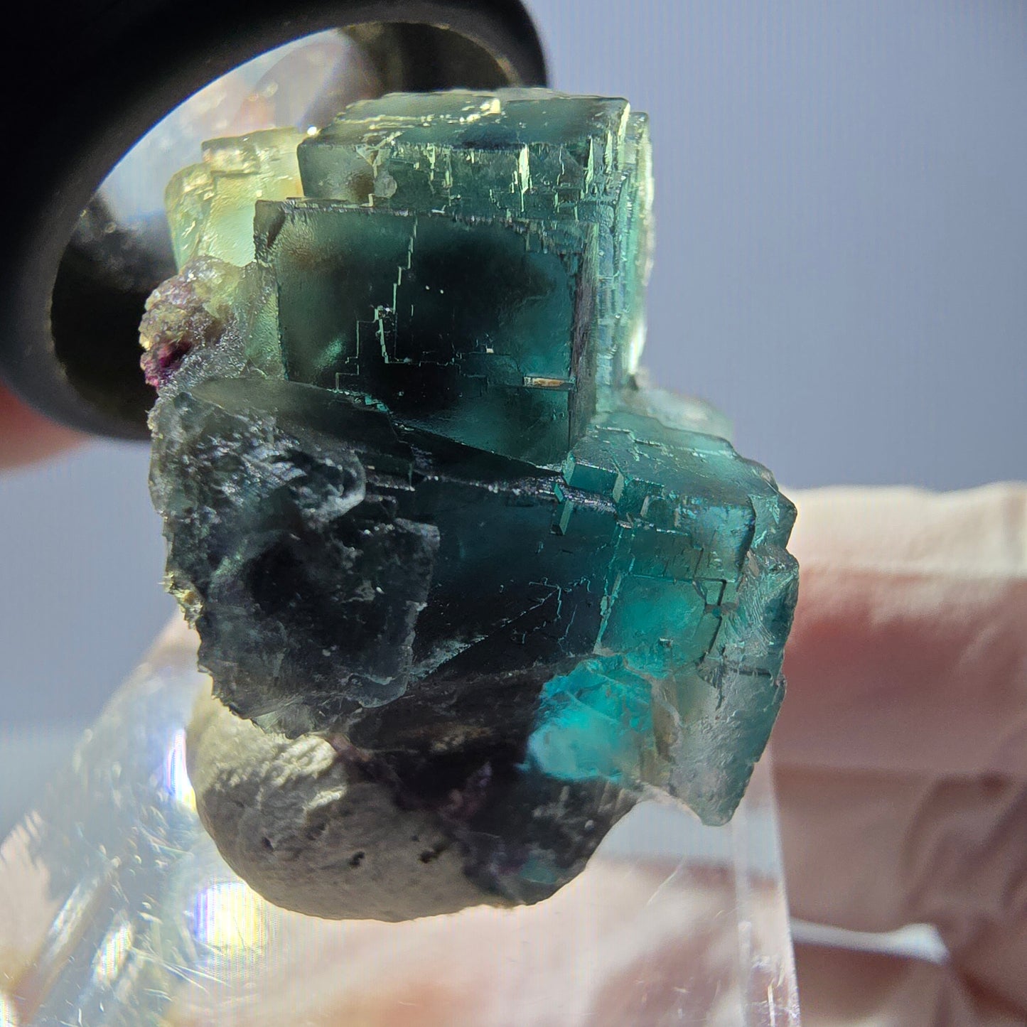 Spécimen de cube de fluorite fantôme, parqueté vert violet Okorusu, Namibie 25*18*18 mm