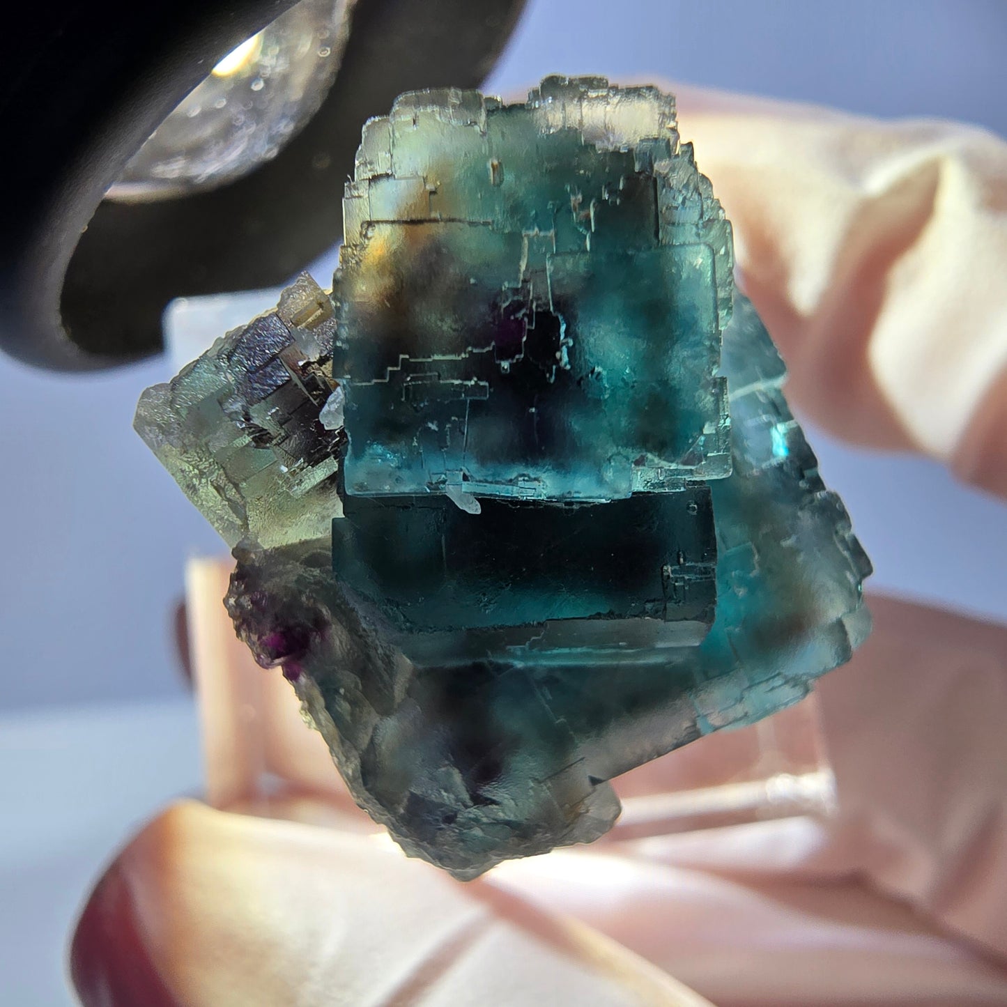 Spécimen de cube de fluorite fantôme, parqueté vert violet Okorusu, Namibie 25*18*18 mm